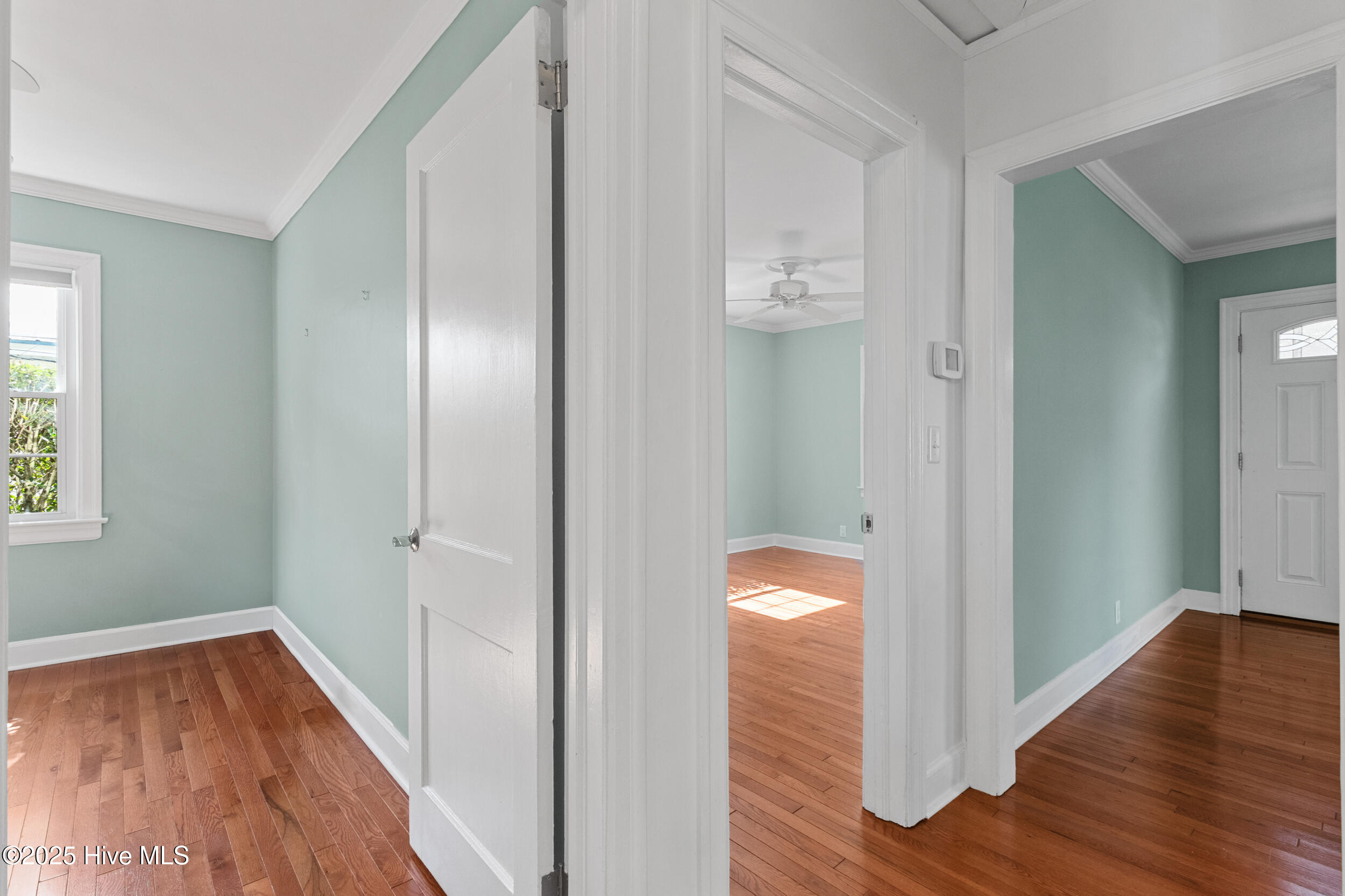 100538519 | Photo 11