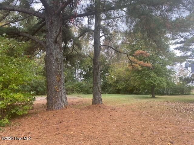 Homes for sale in Robersonville, NC | 413 Pecan St, Robersonville, NC 27871 | MLS# 100544118