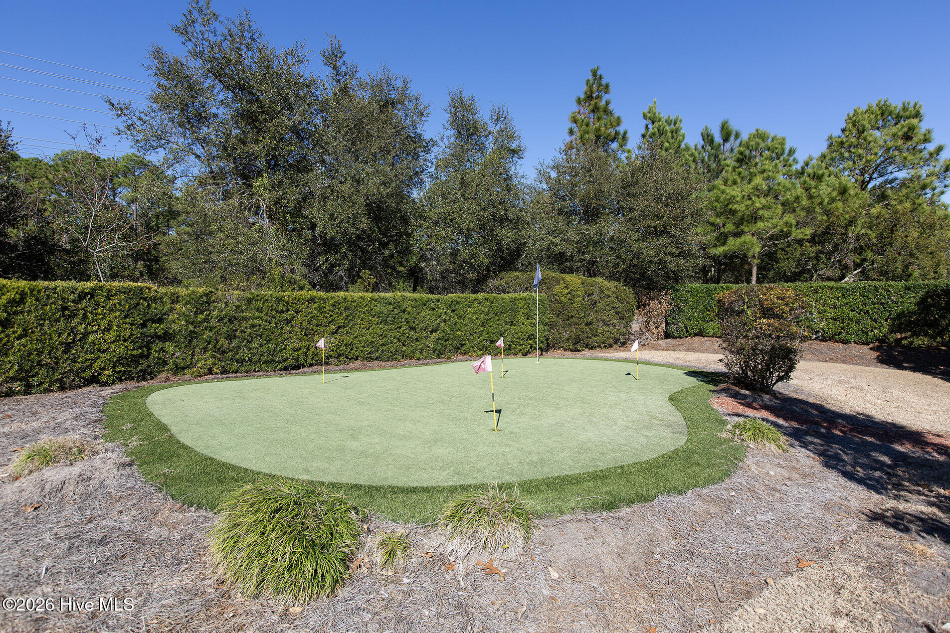 100567107 | Photo 46