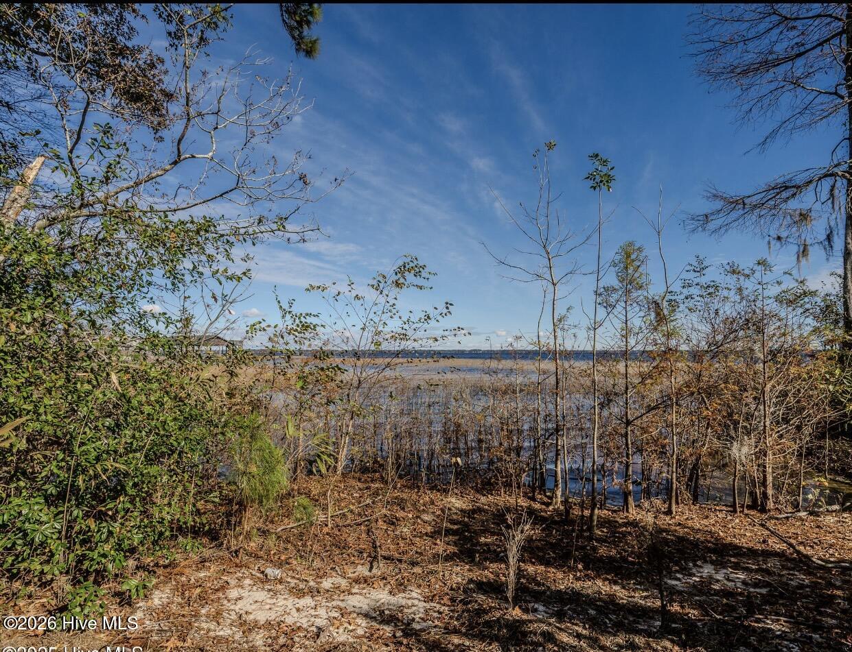 100560366 | Photo 12