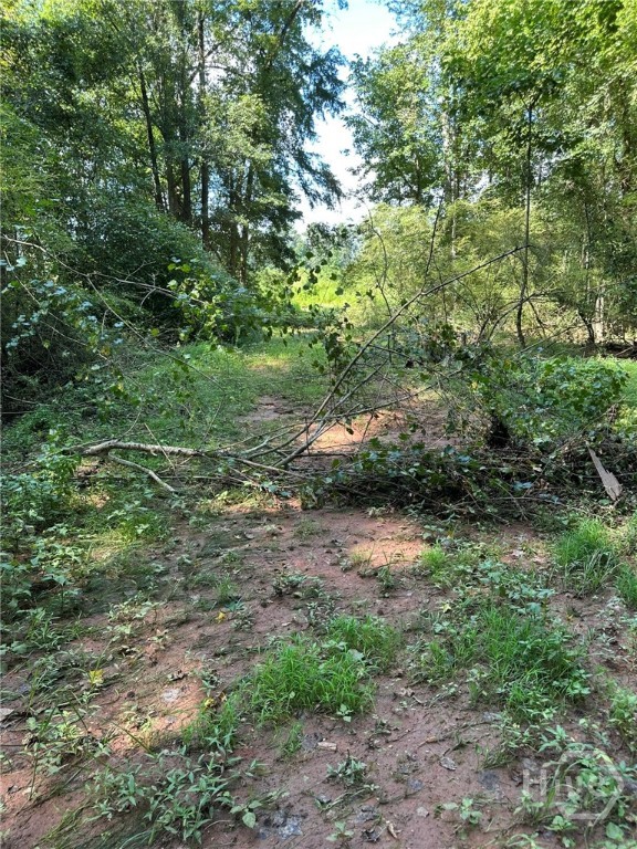 00 Fears, Madison, GA, 30650