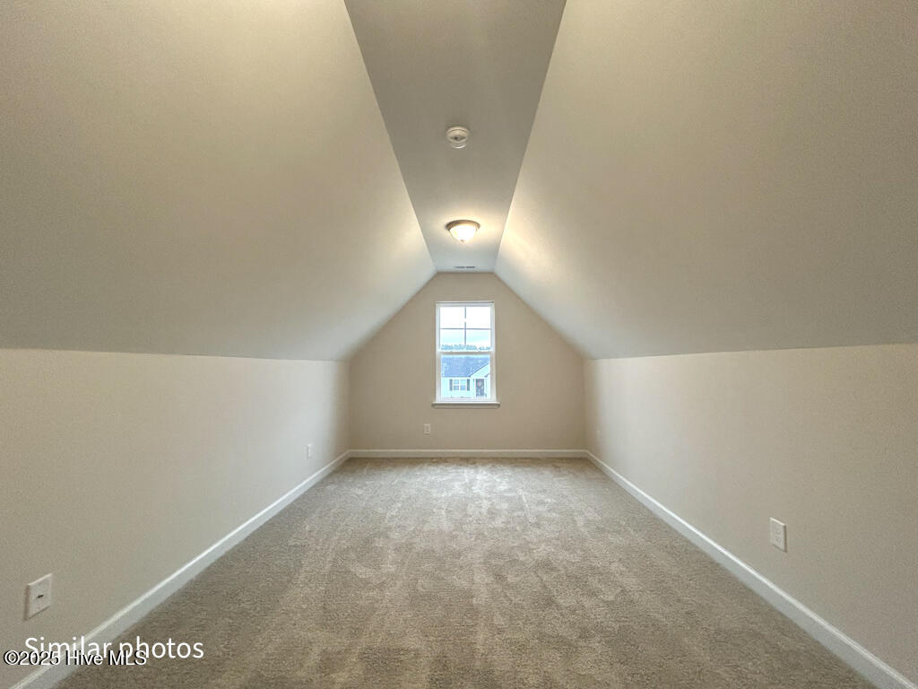 100508196 | Photo 51