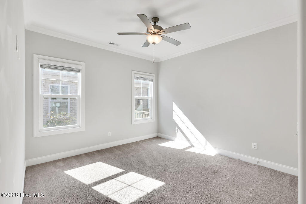 100555055 | Photo 23