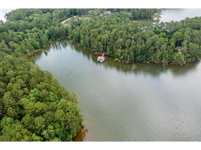 6198 Rousseau Creek Road, Thomson, GA 30824 Listing Photo  74