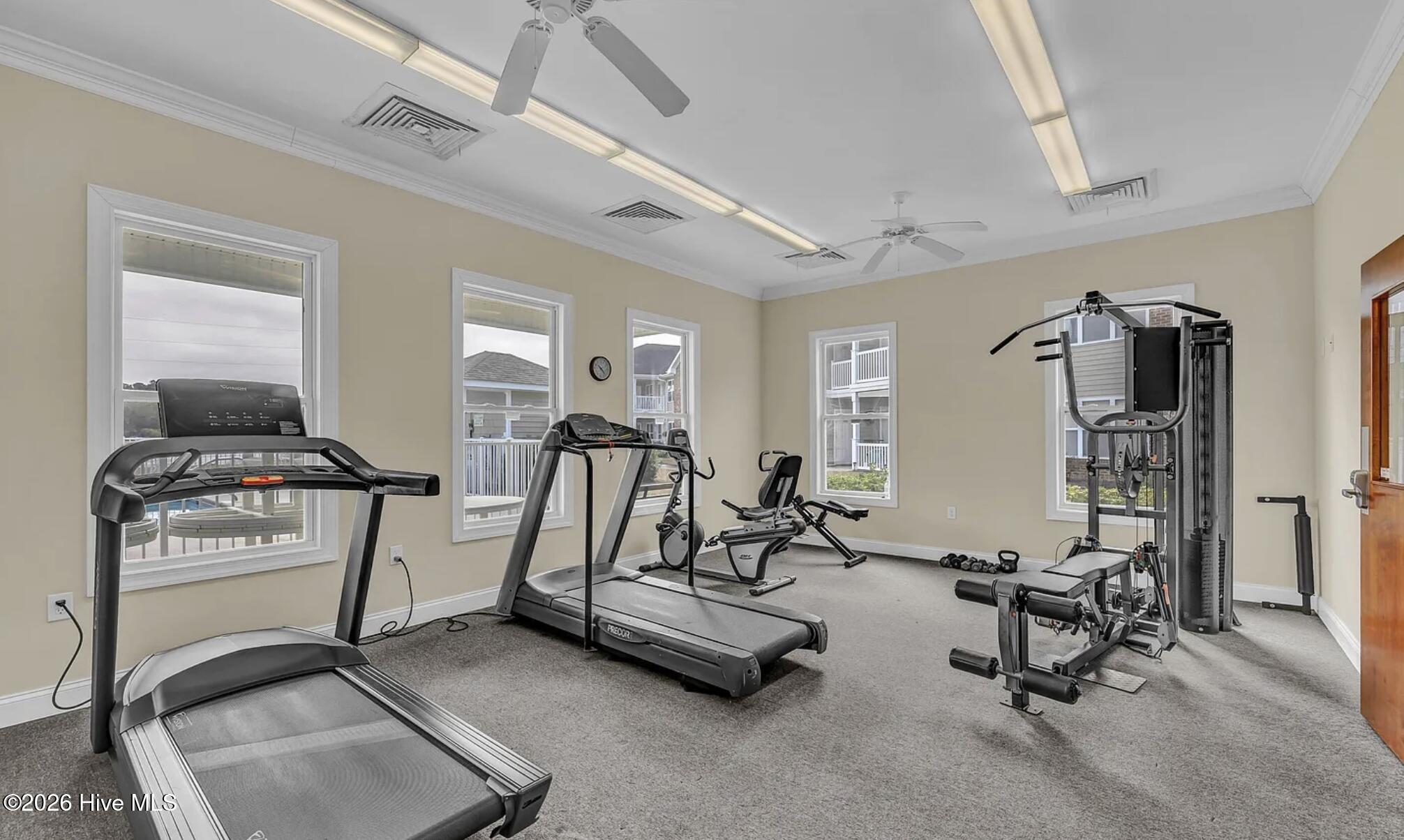 100559380 | Photo 34