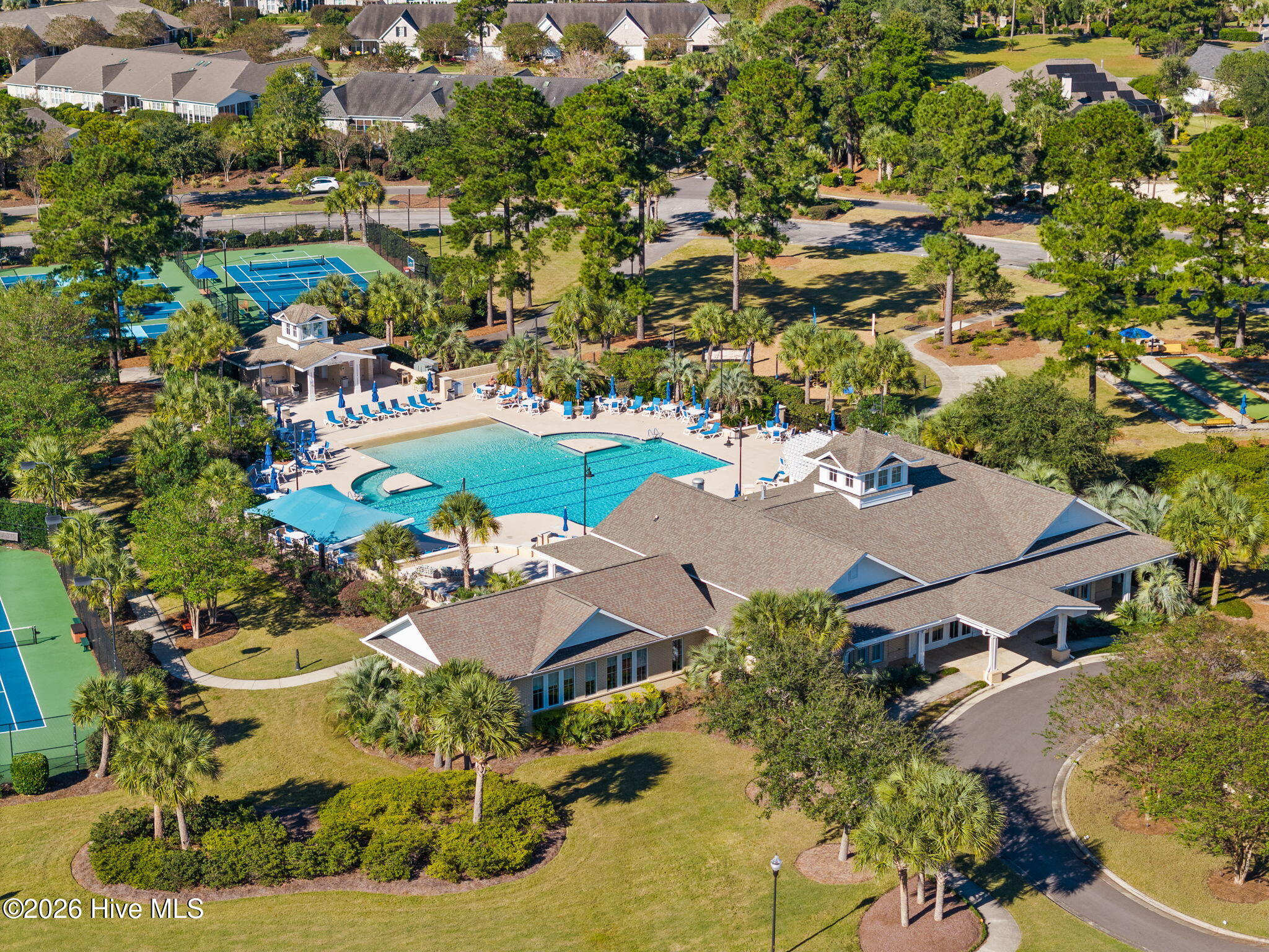 100562365 | Photo 42