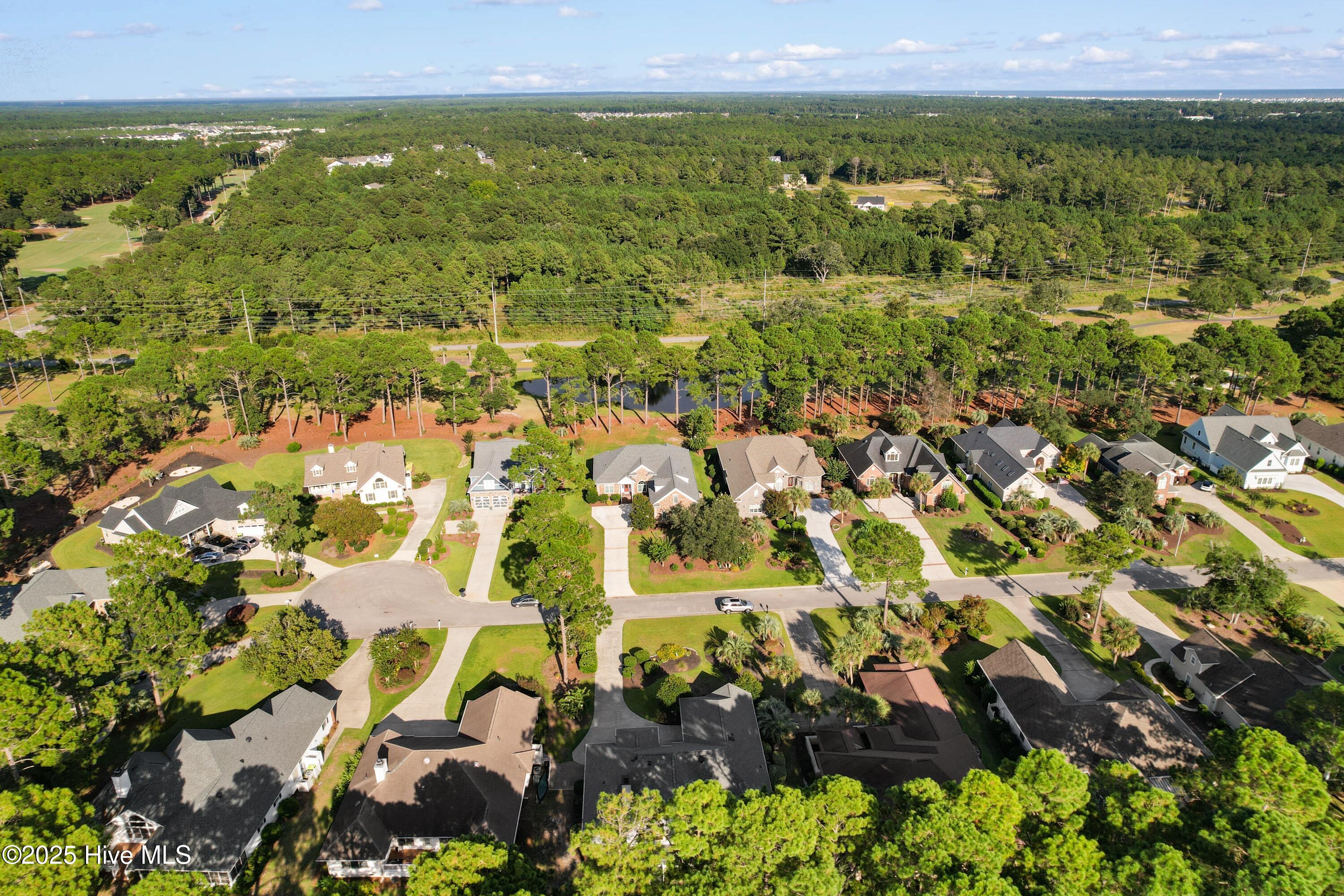 100531039 | Photo 41