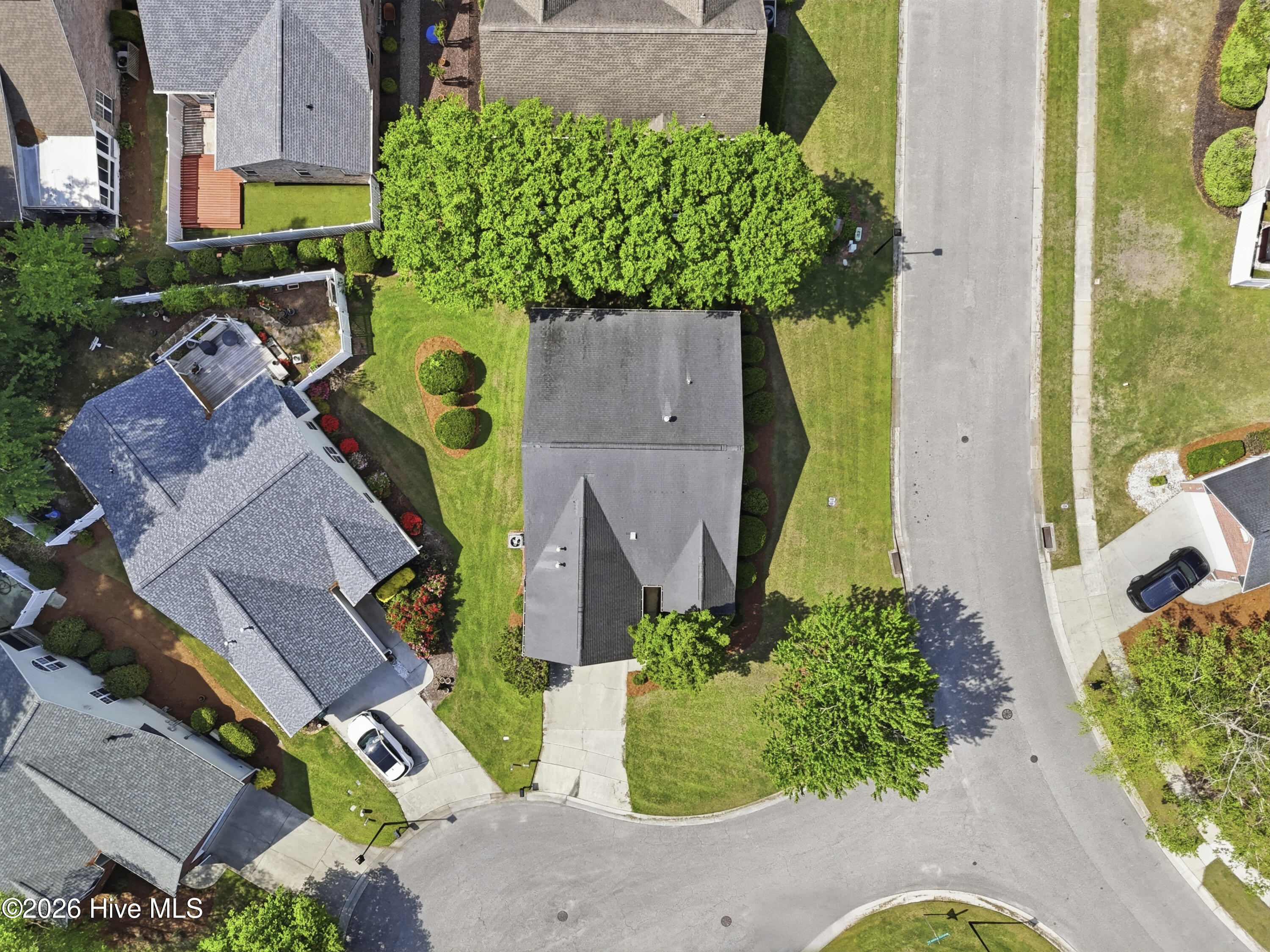 100567649 | Photo 44