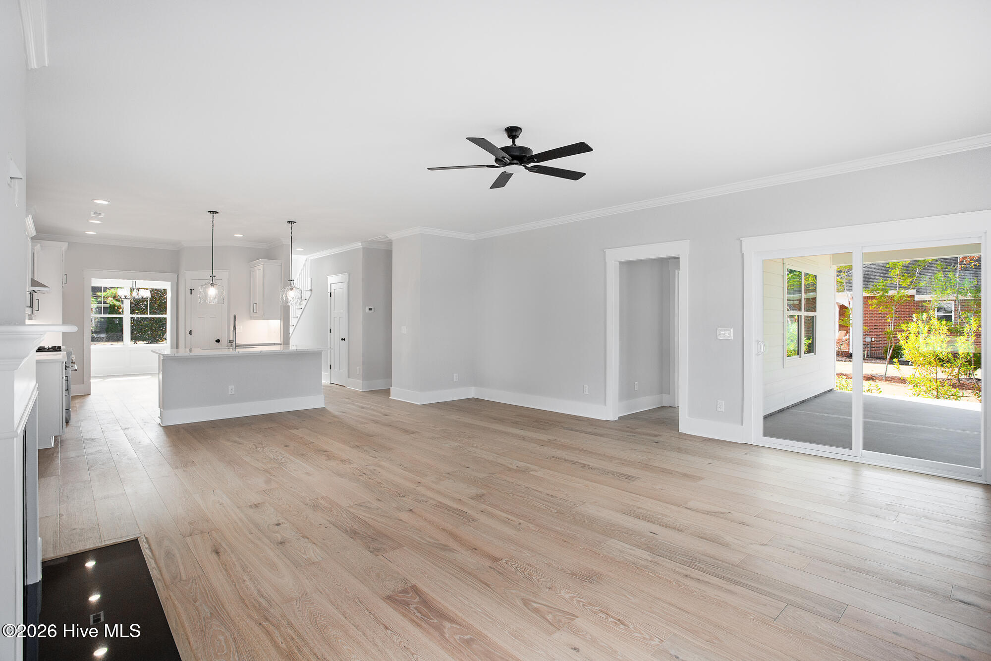 100564009 | Photo 12