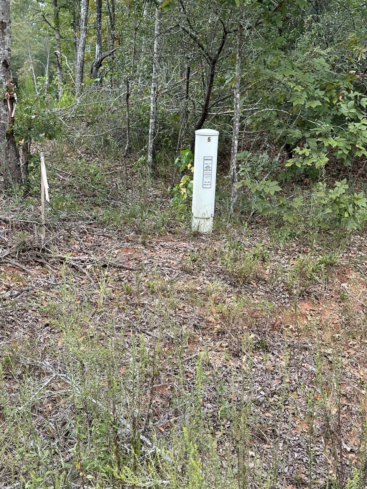 Homes for sale in Louisville, GA | 0 36 Nelson Ct, Louisville, GA 30434 | MLS# 533736