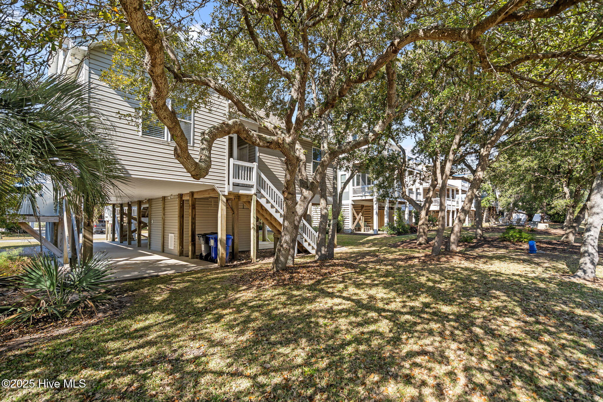 100542562 | Photo 52