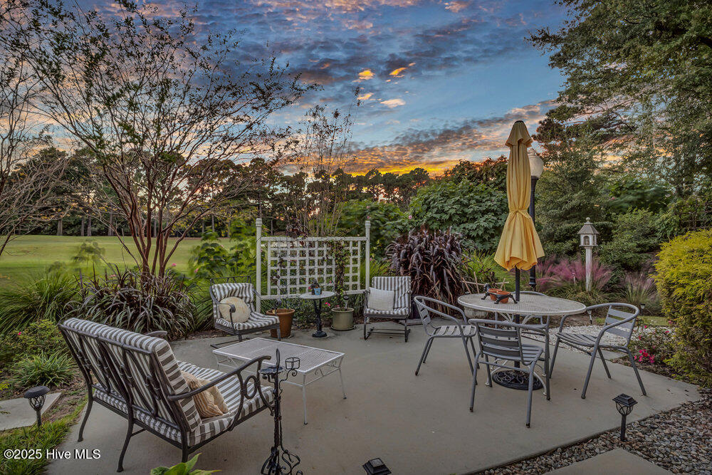 100536027 | Photo 34