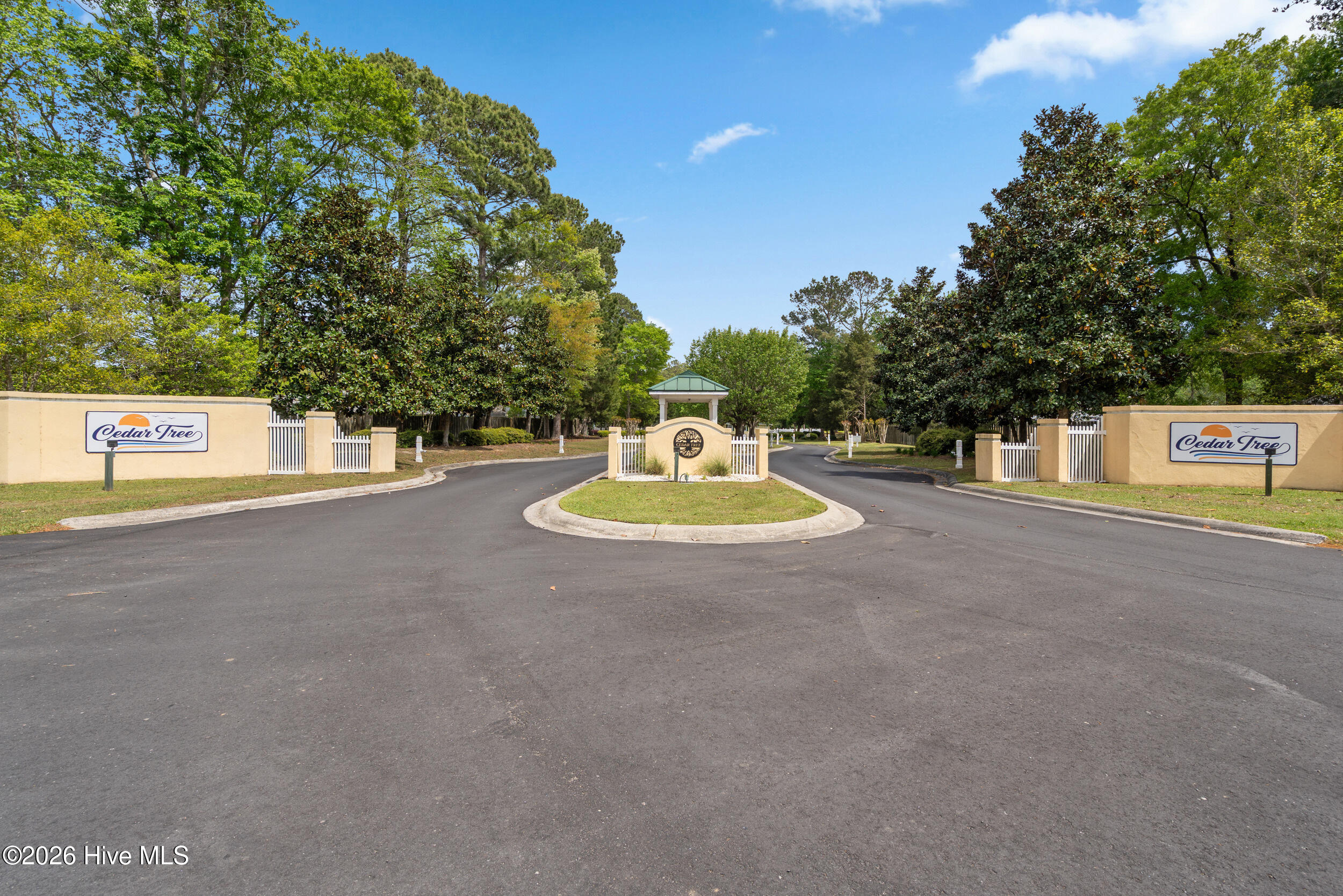 100566575 | Photo 44