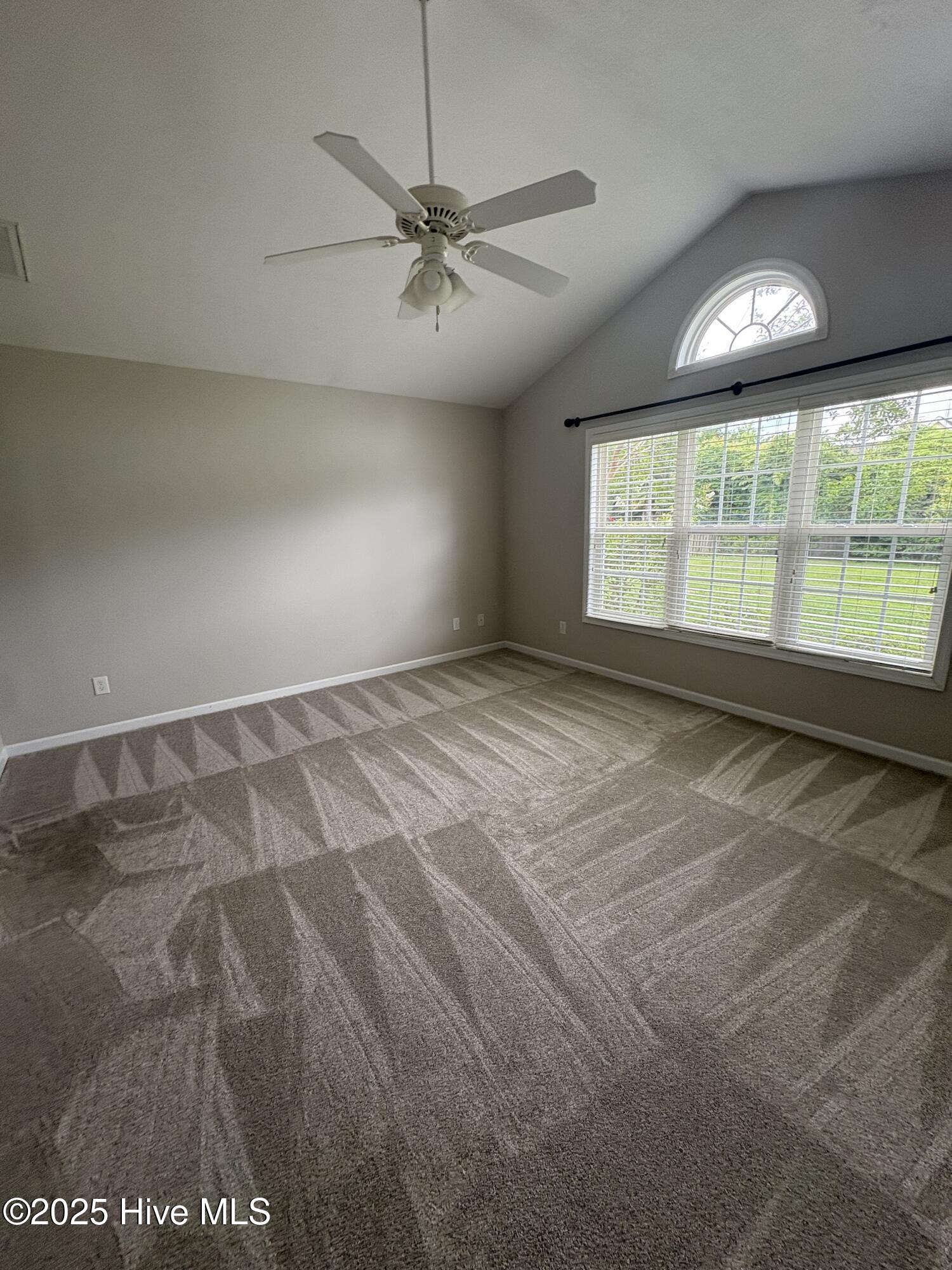 100560498 | Photo 15