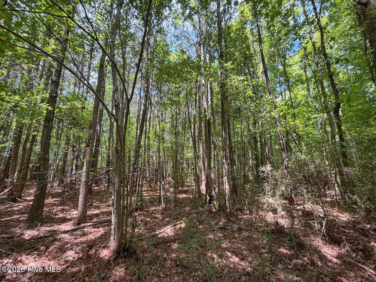 Exterior photo of 03 Titan Roberts Road, Erwin, NC 28339. MLS: 100589354