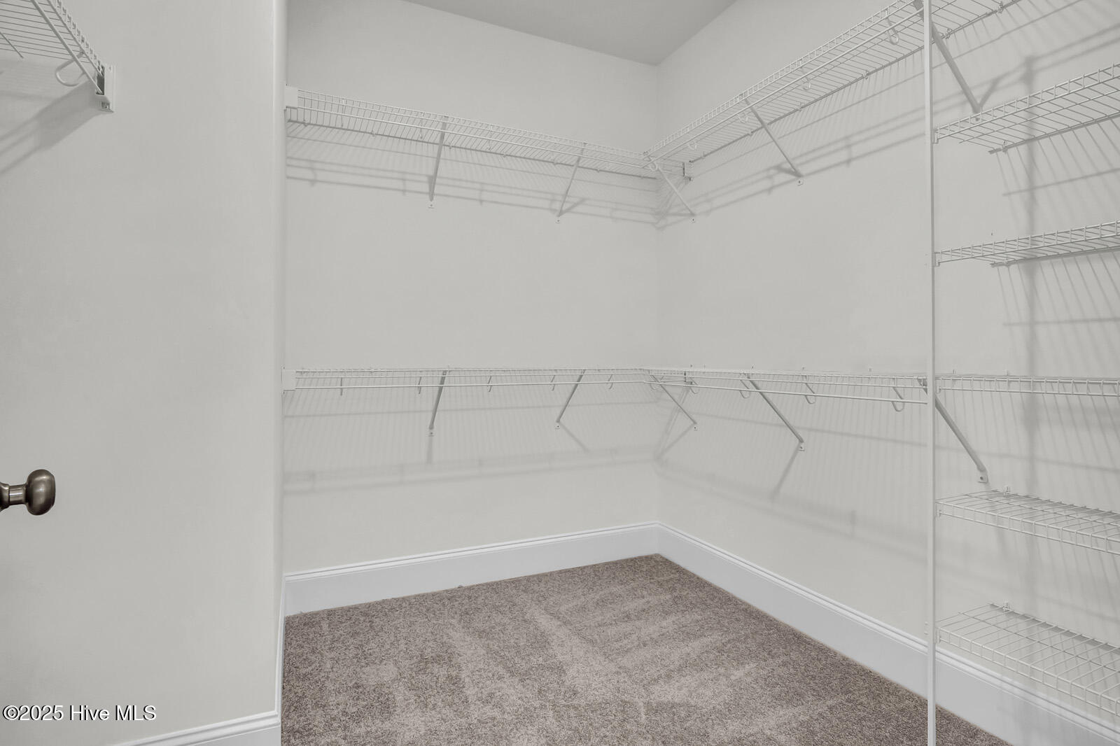 100527177 | Photo 23