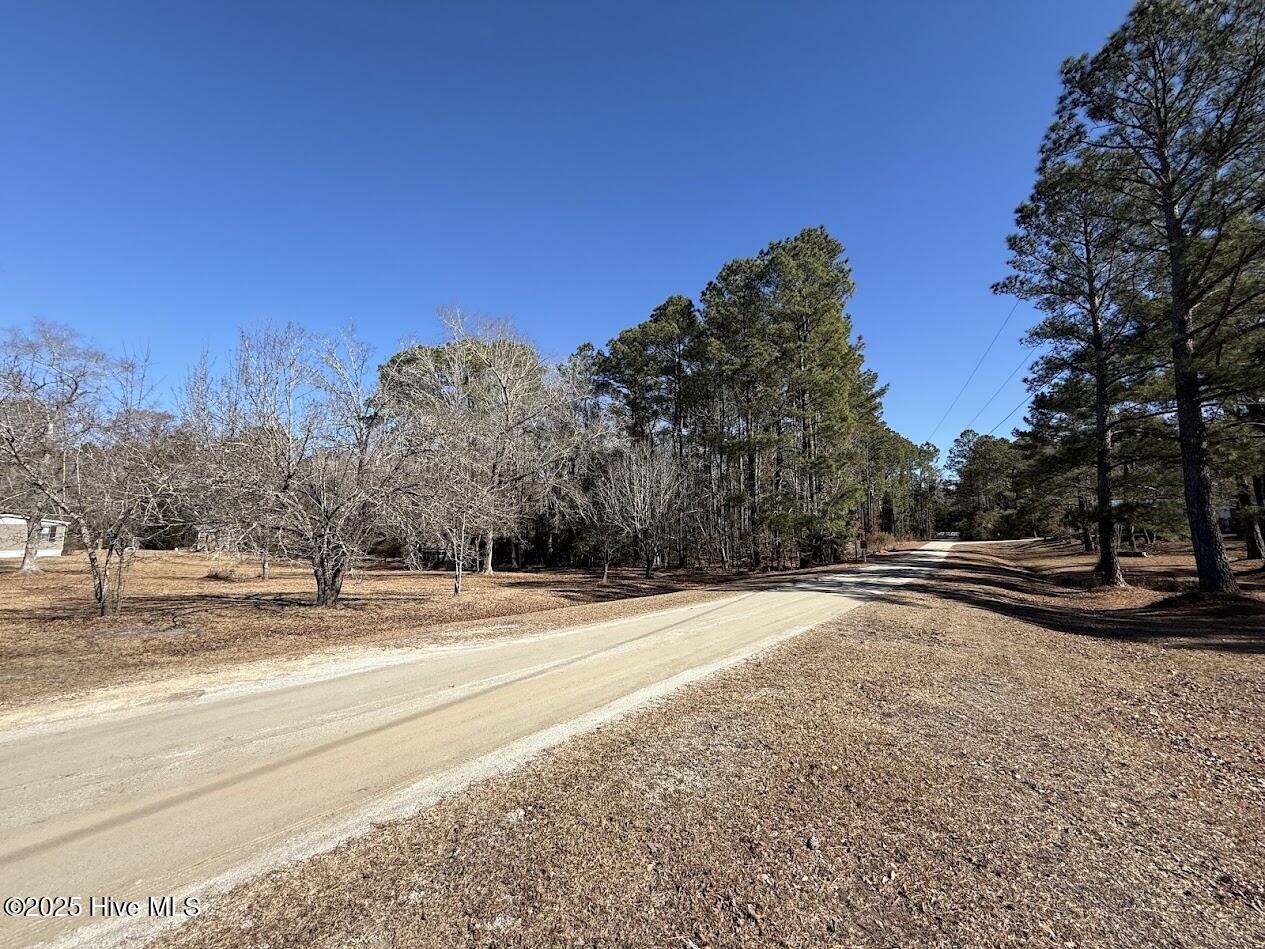 100486330 | Photo 12