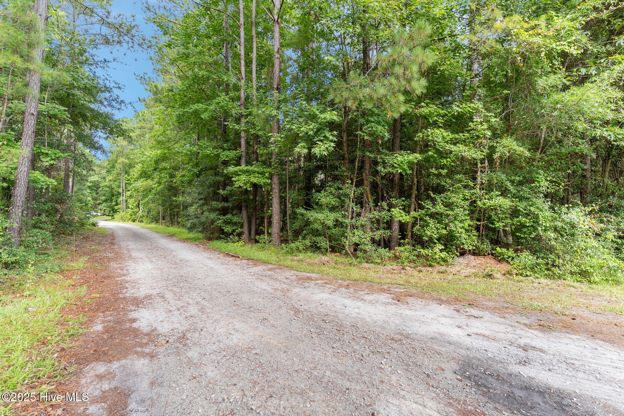 100519526 | Photo 14