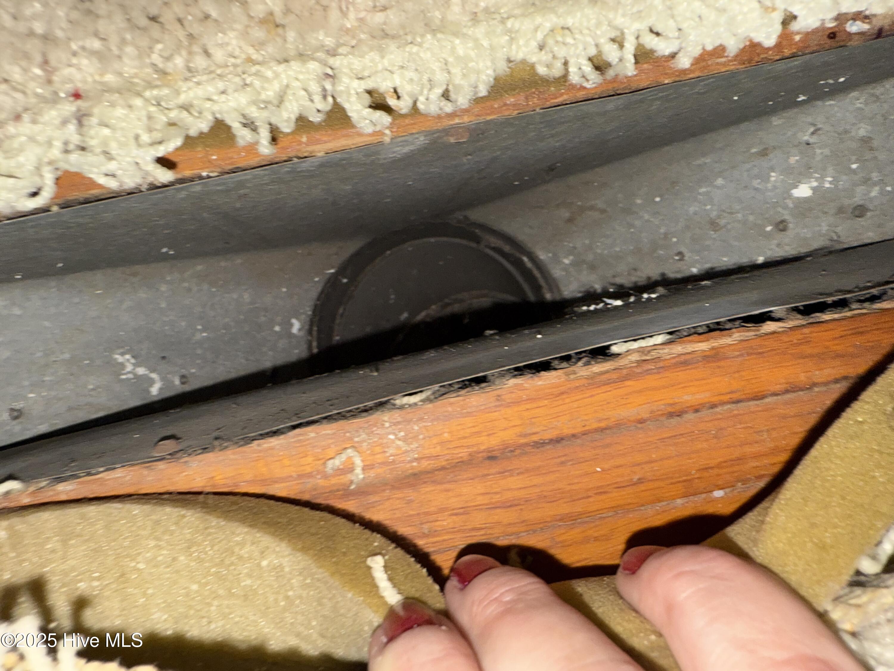 Homes for sale in Windsor, NC | 1312 Cedar Landing Rd, Windsor, NC 27983 | MLS# 100521452