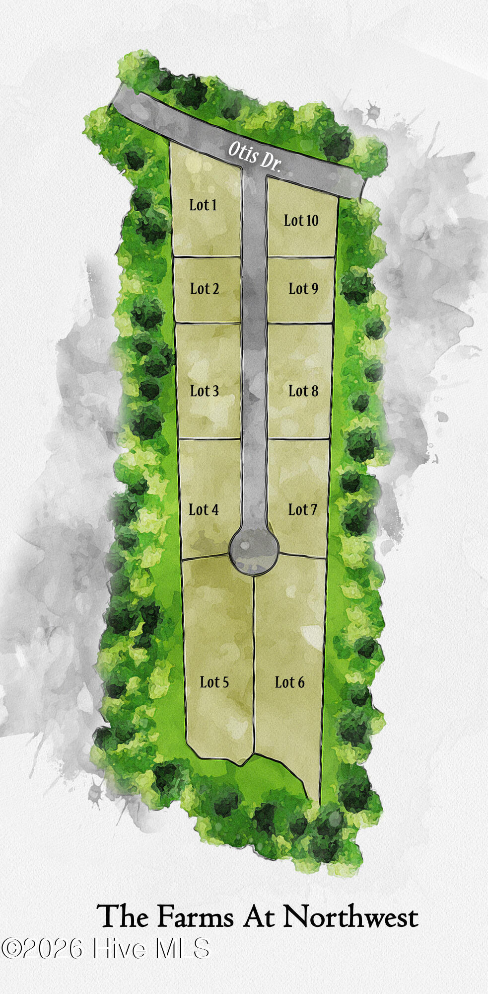 100607203 | Photo 2