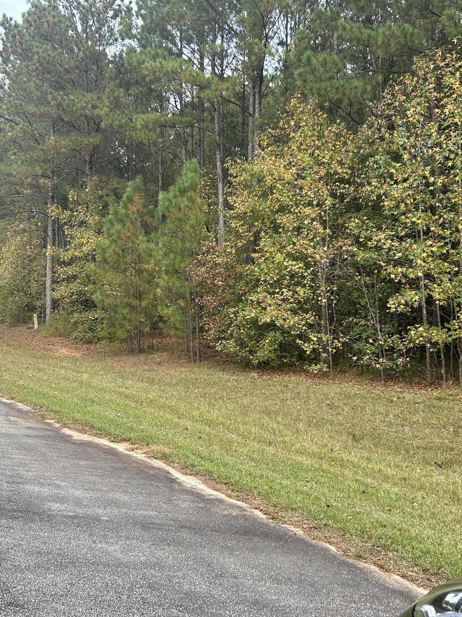 29 EAGLE POINTE, Lincolnton, GA, 30817