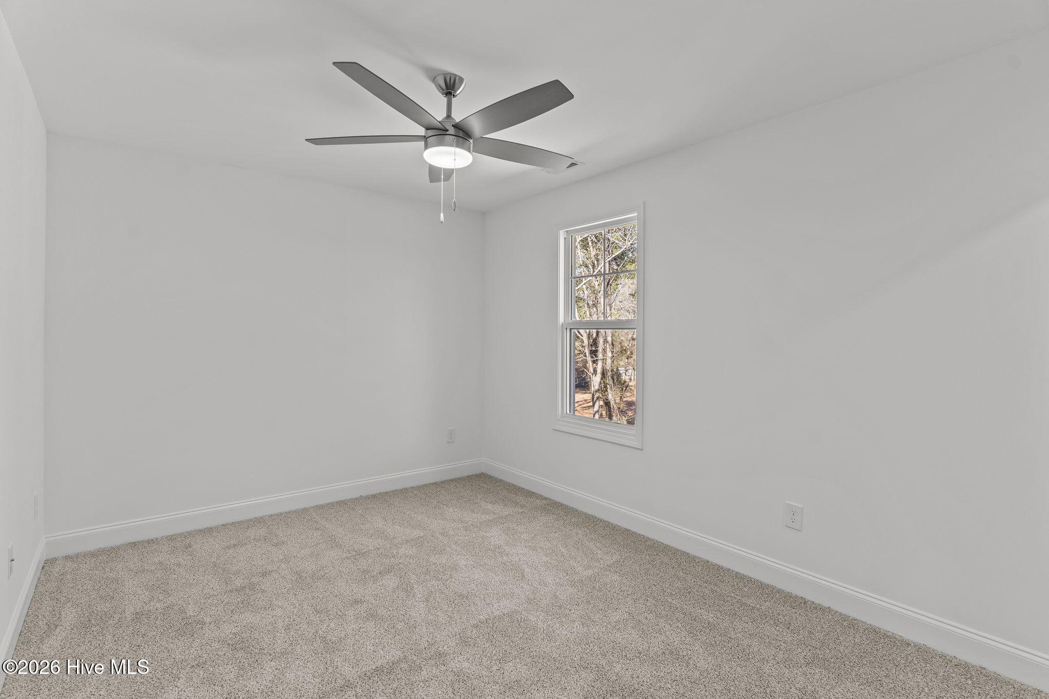 100528695 | Photo 11