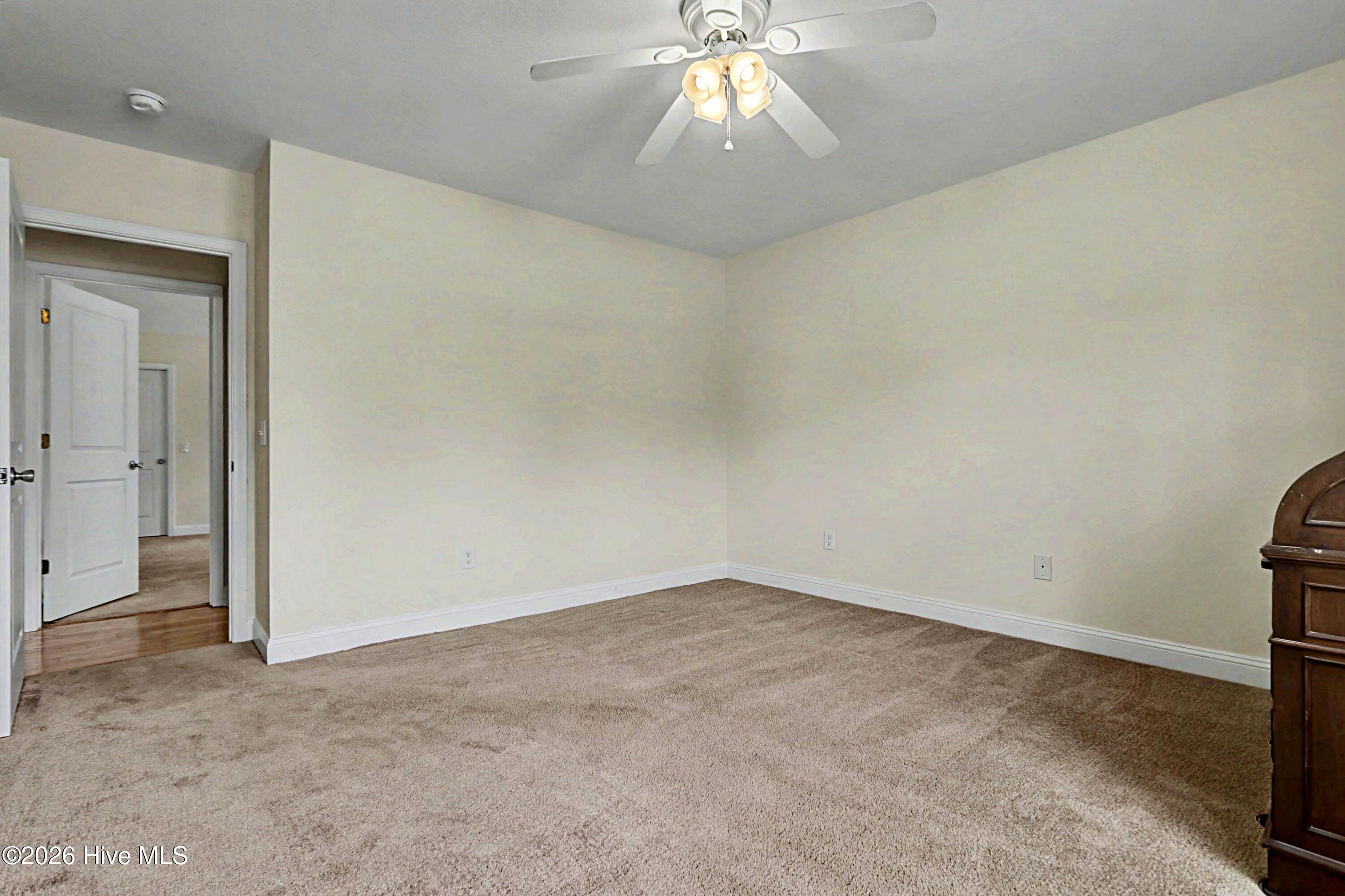 100562113 | Photo 17