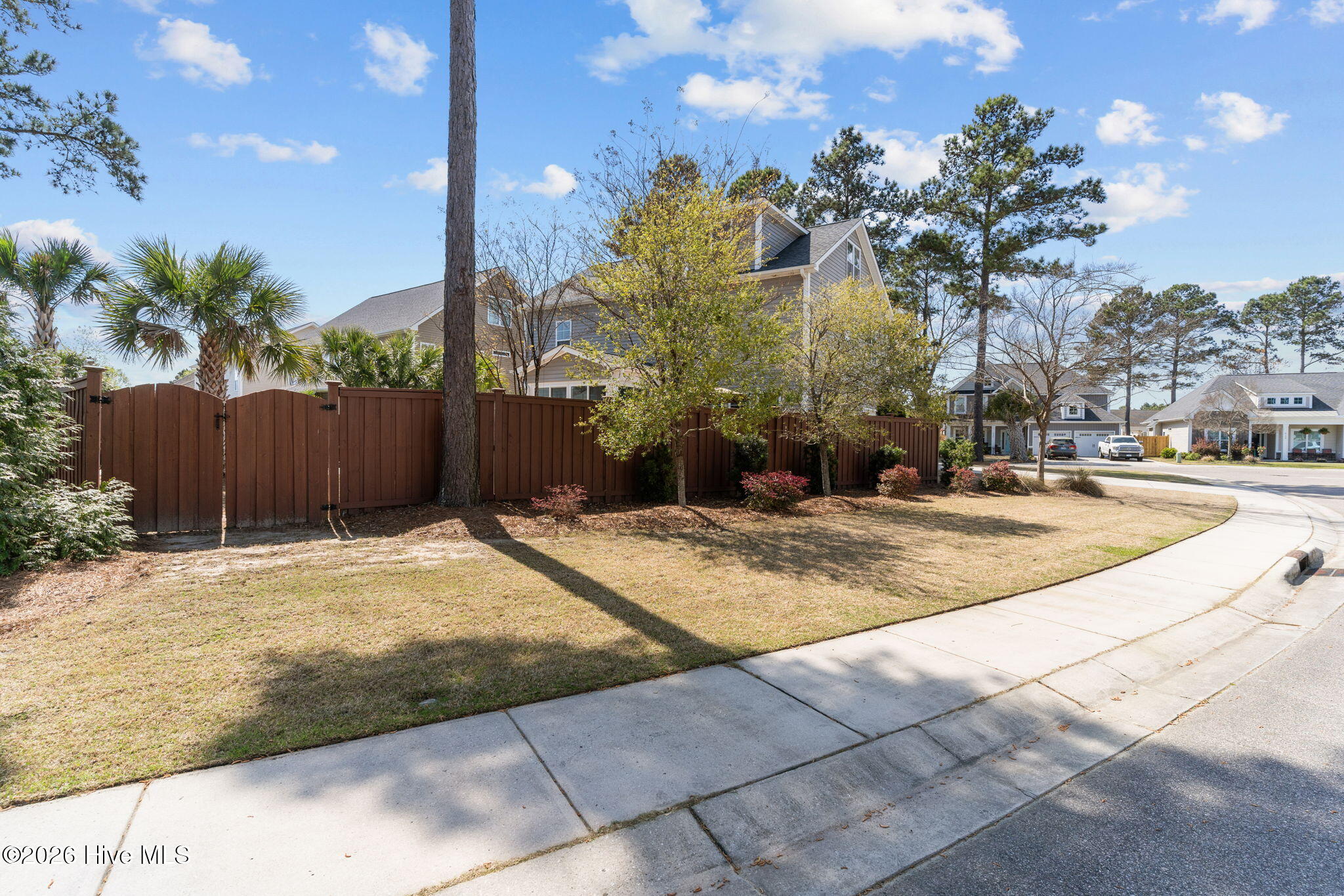 100564202 | Photo 48