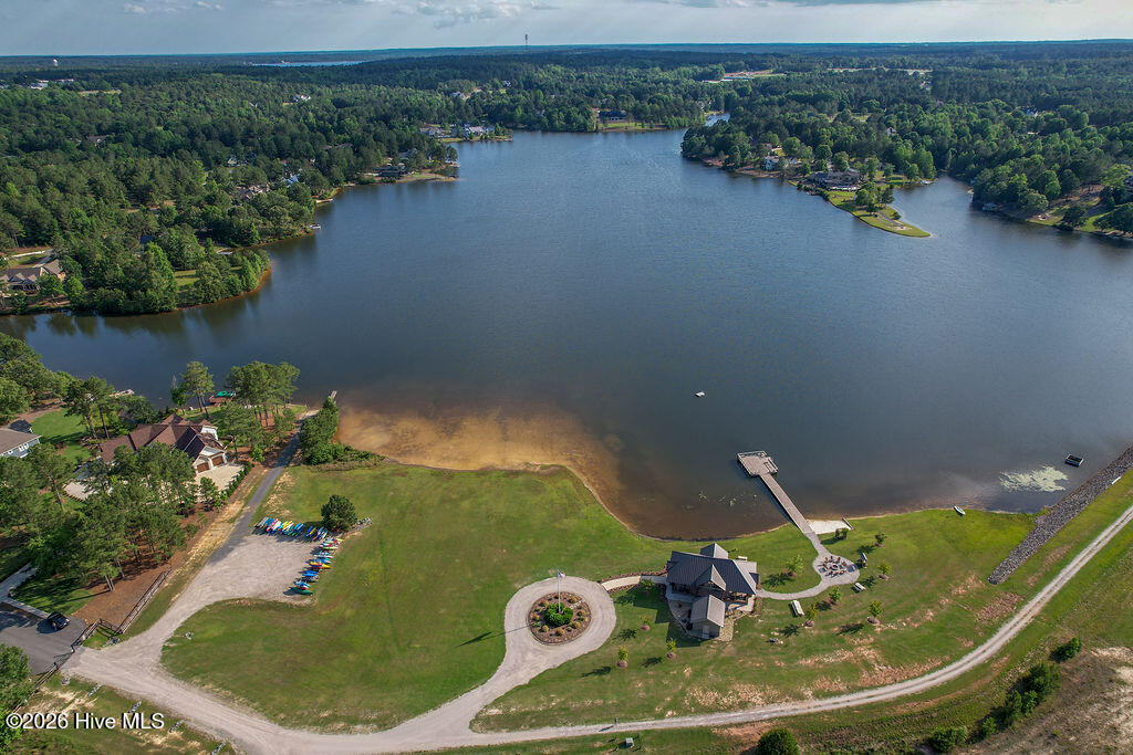 Aerial of the Park