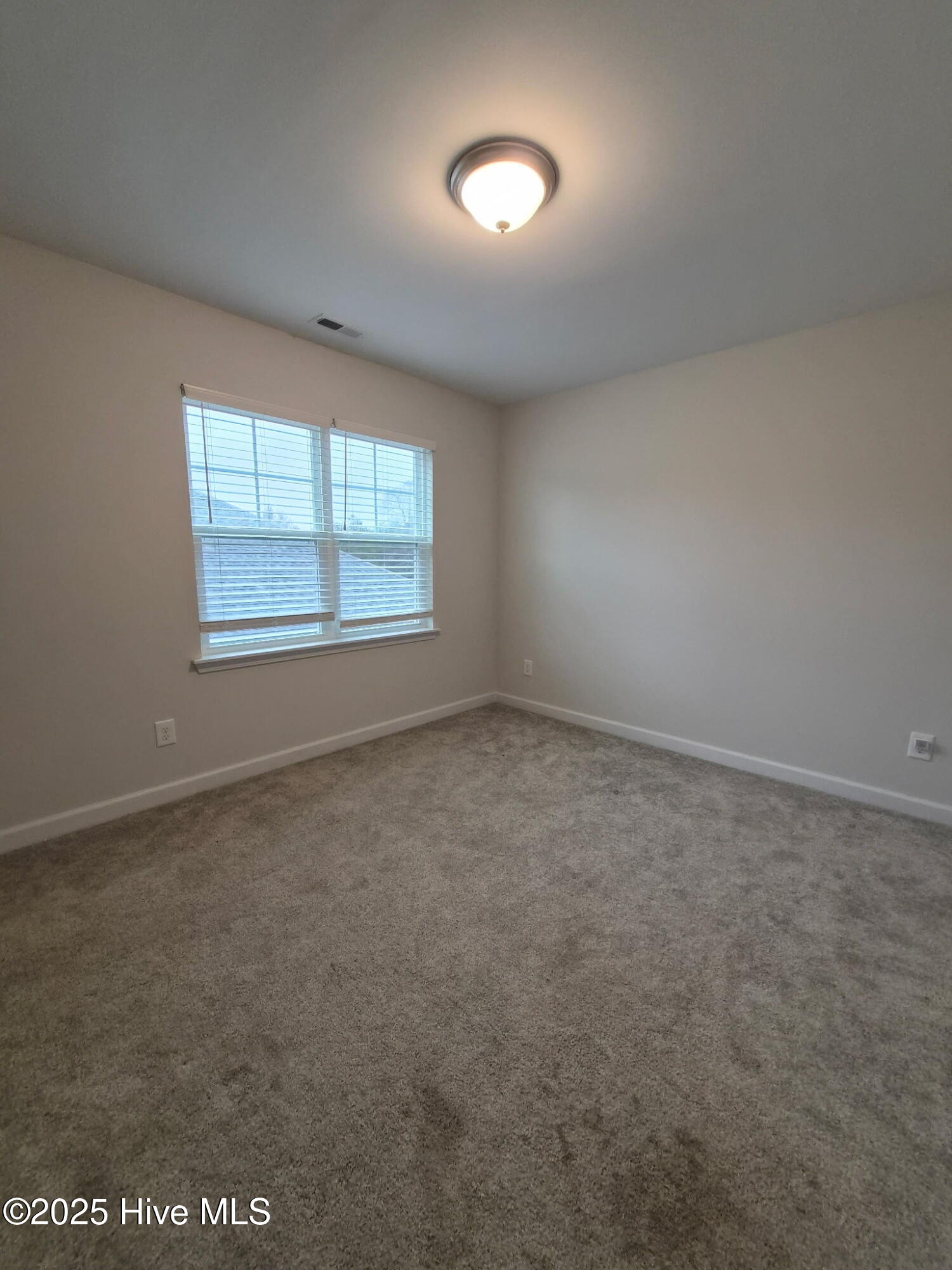 100539577 | Photo 28