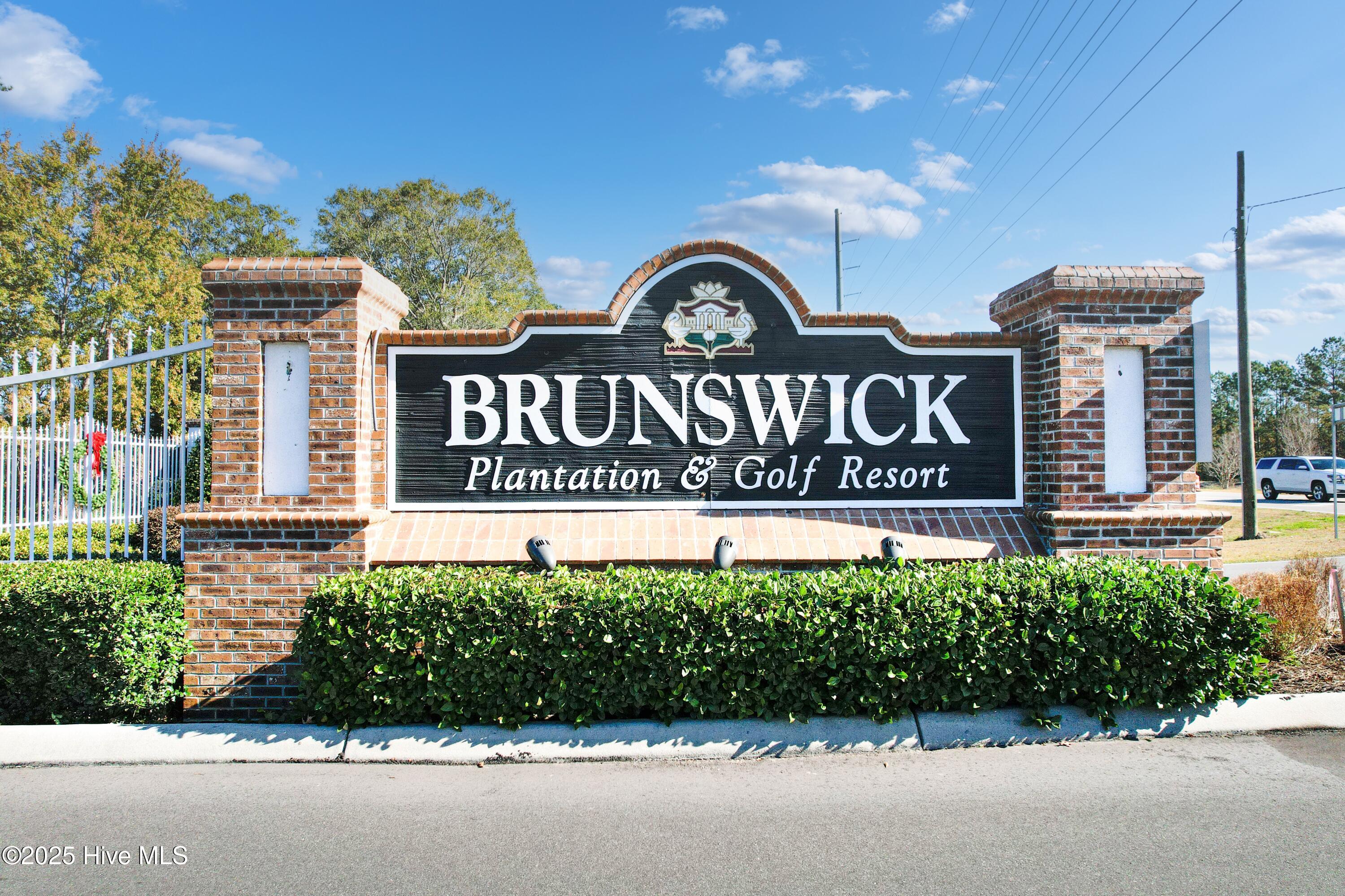 100555458 | Photo 33