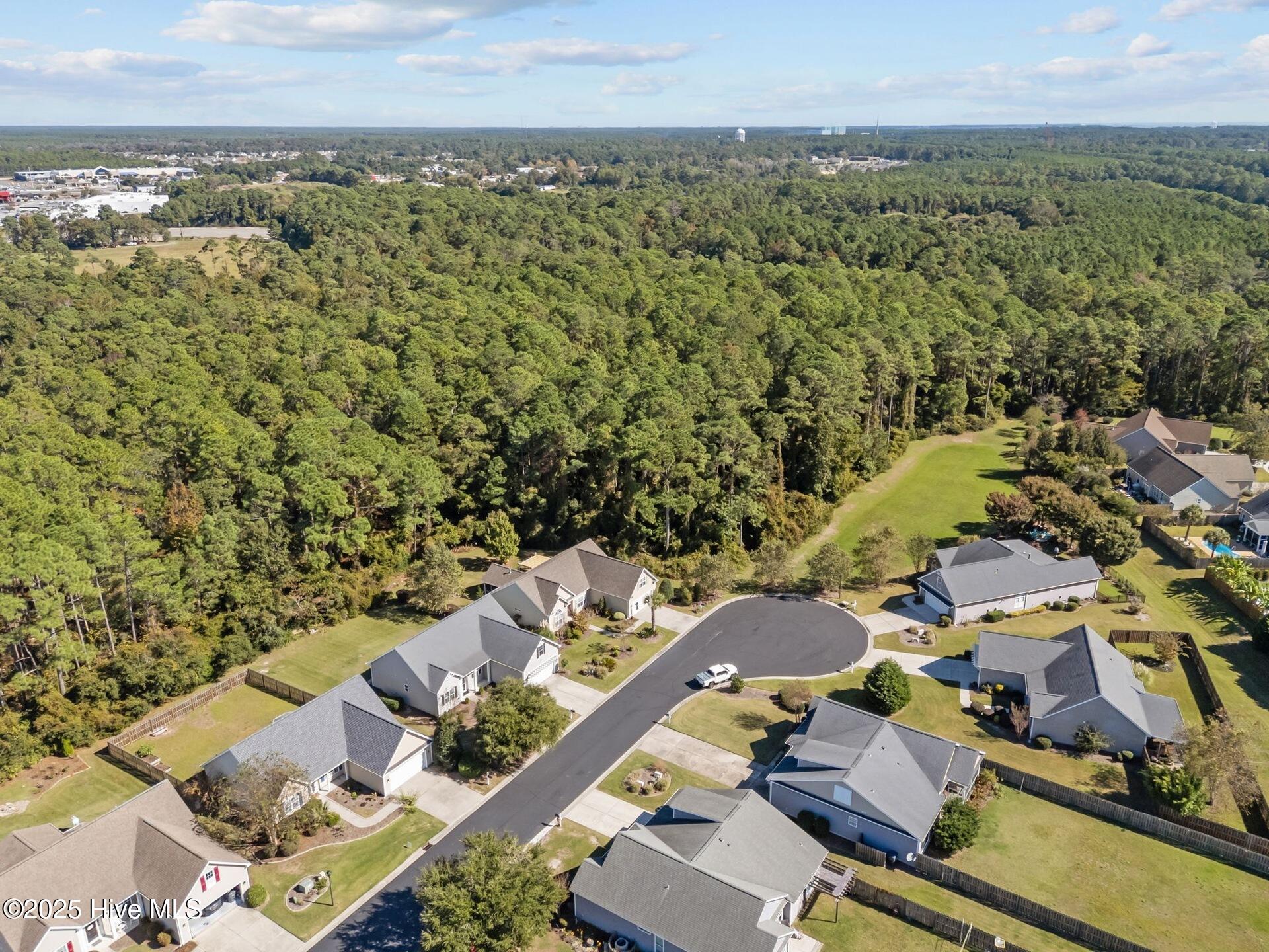 100537665 | Photo 44