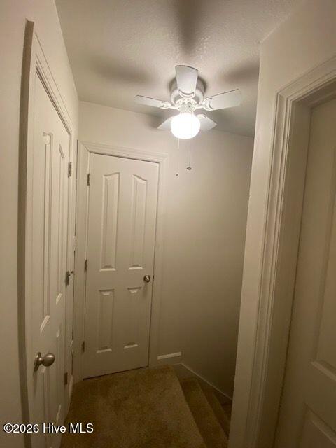 100555542 | Photo 11