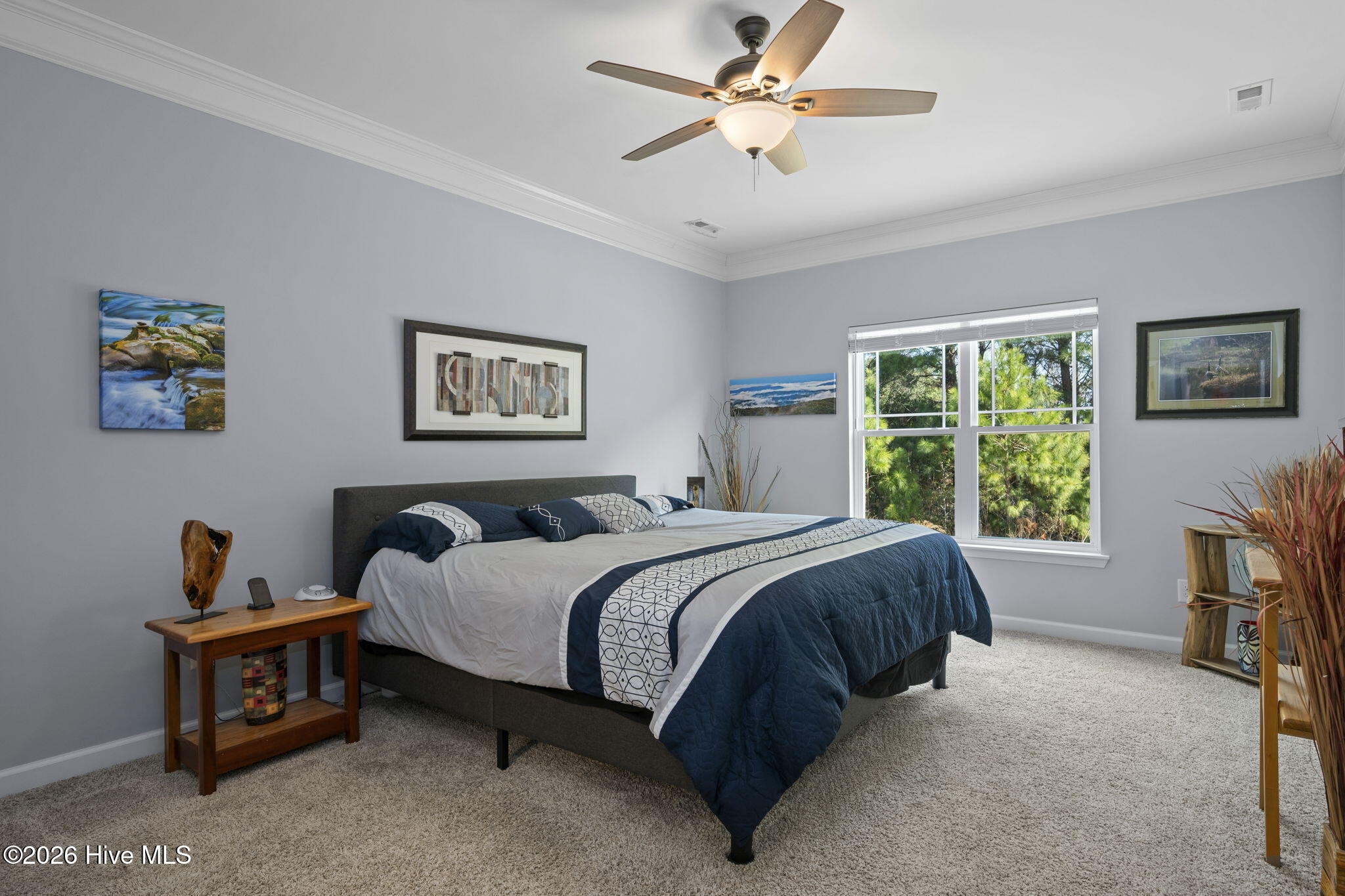 100558397 | Photo 19