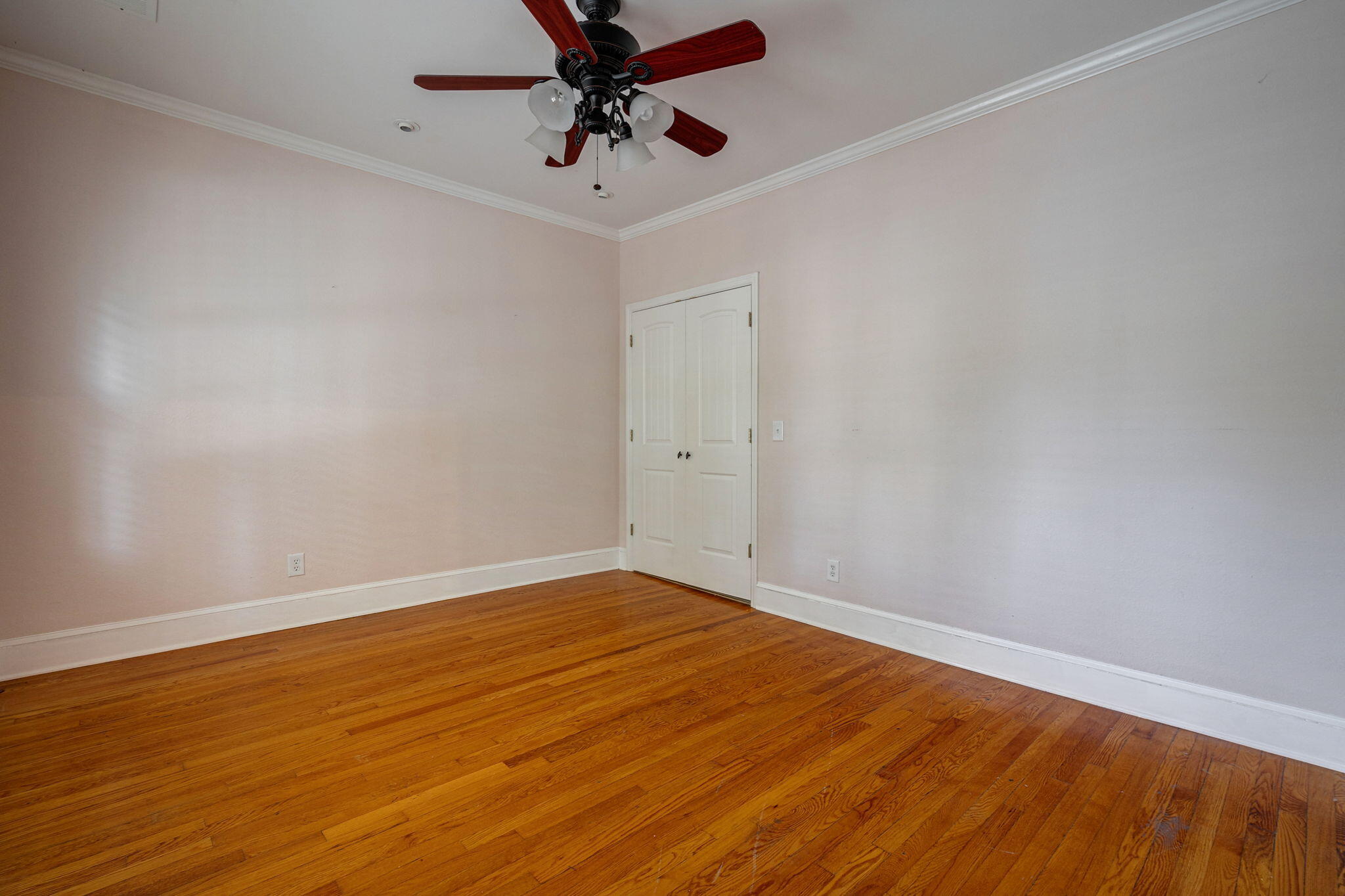12-web-or-mls-11