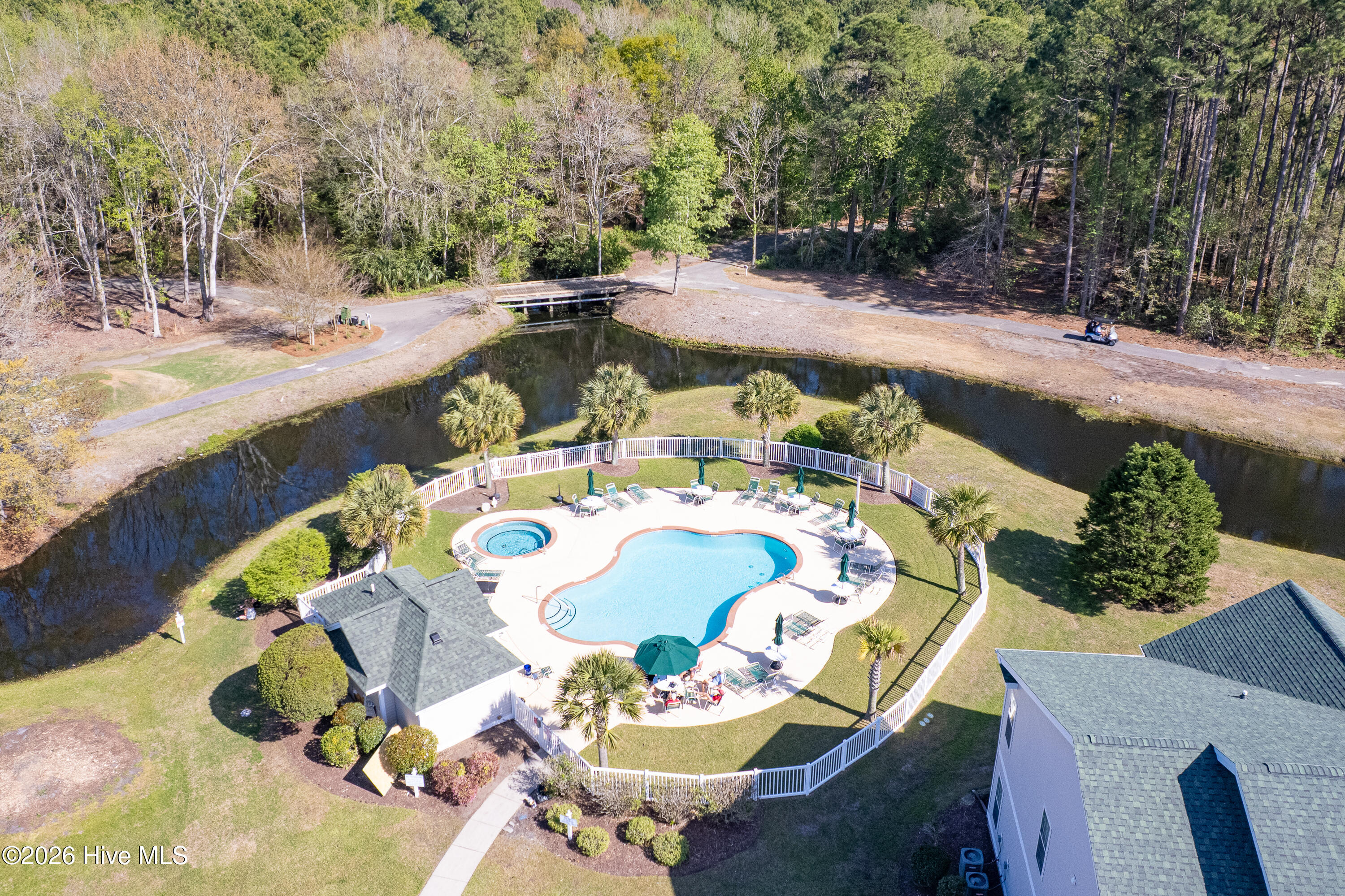 100564736 | Photo 44