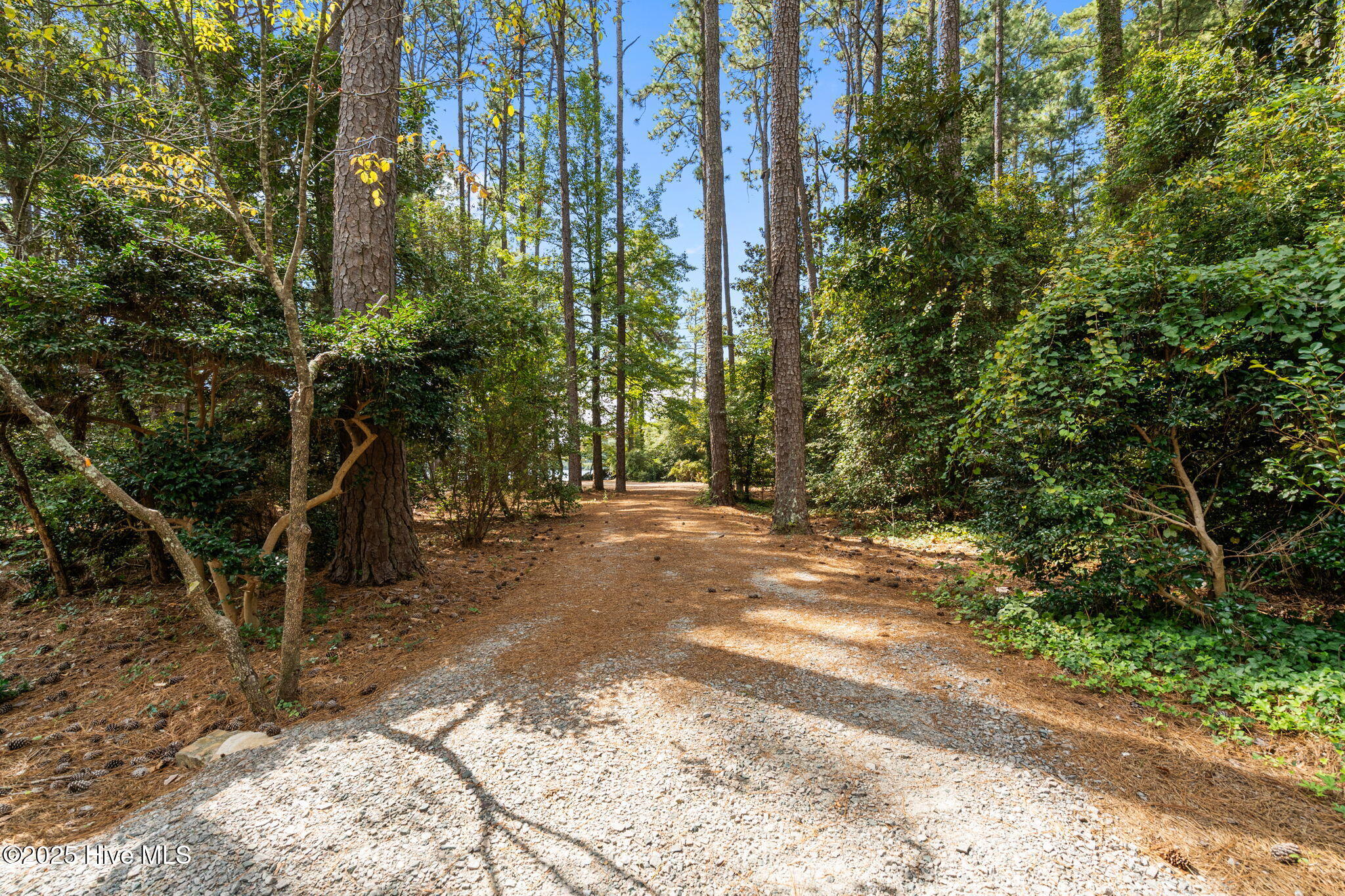 17-web-or-mls-DSC09735