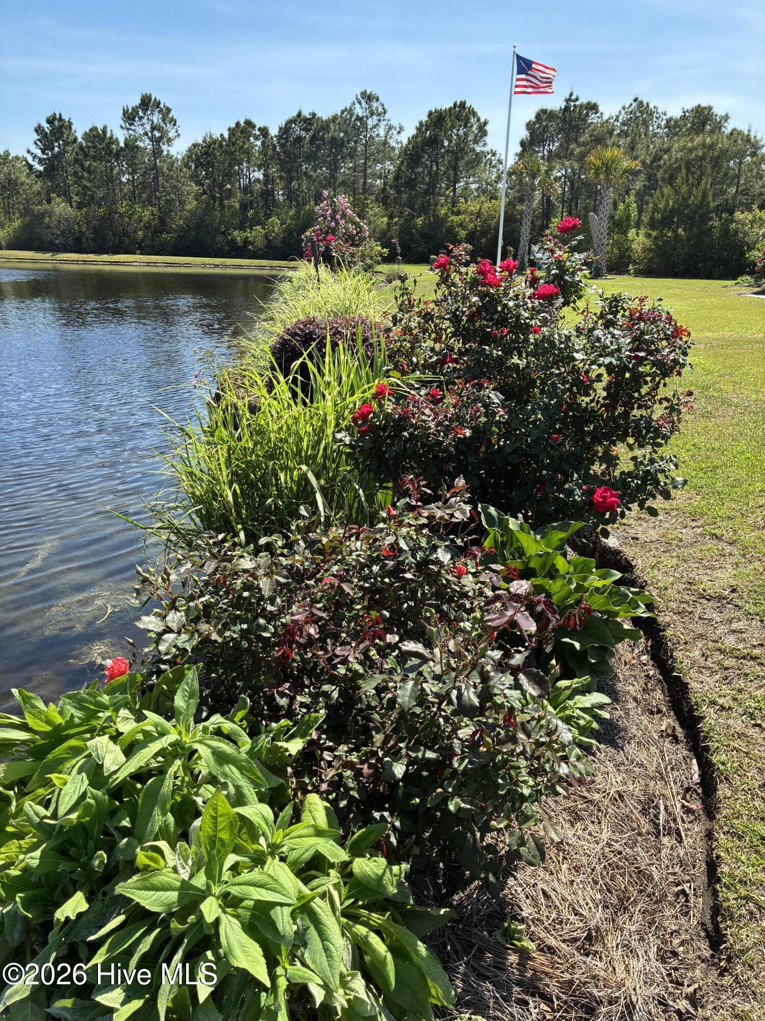 100560288 | Photo 120