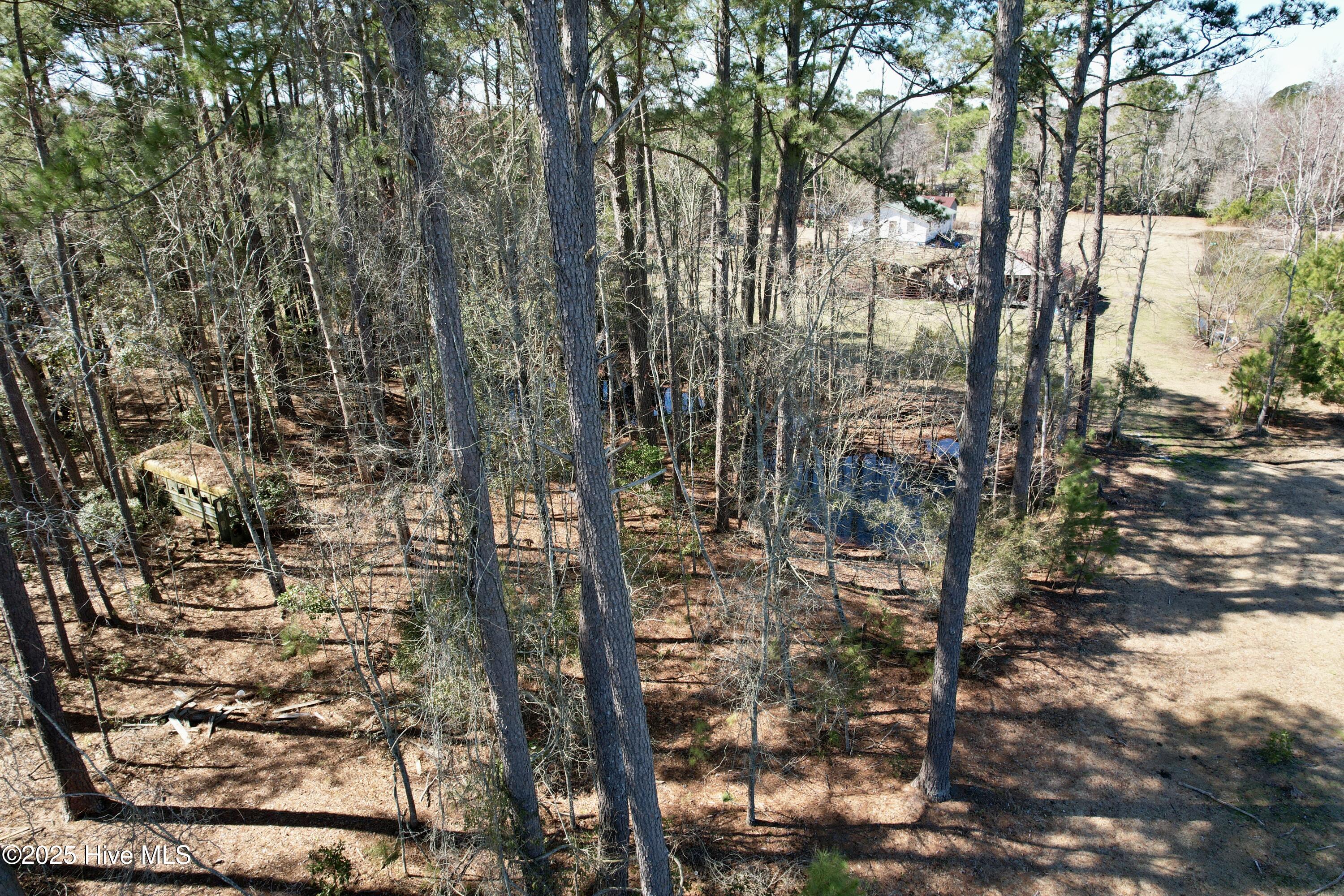 100490813 | Photo 16