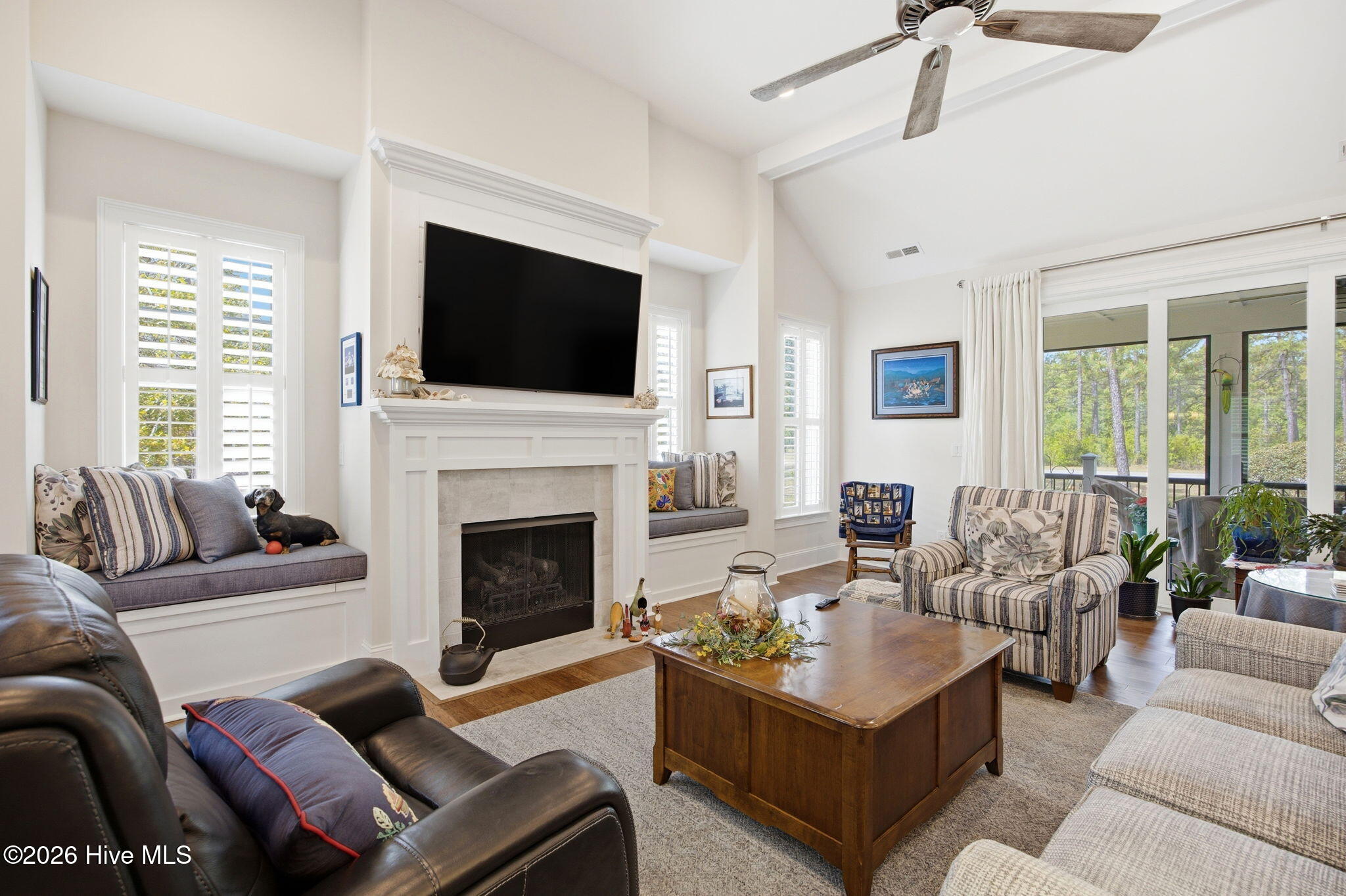 100569856 | Photo 11