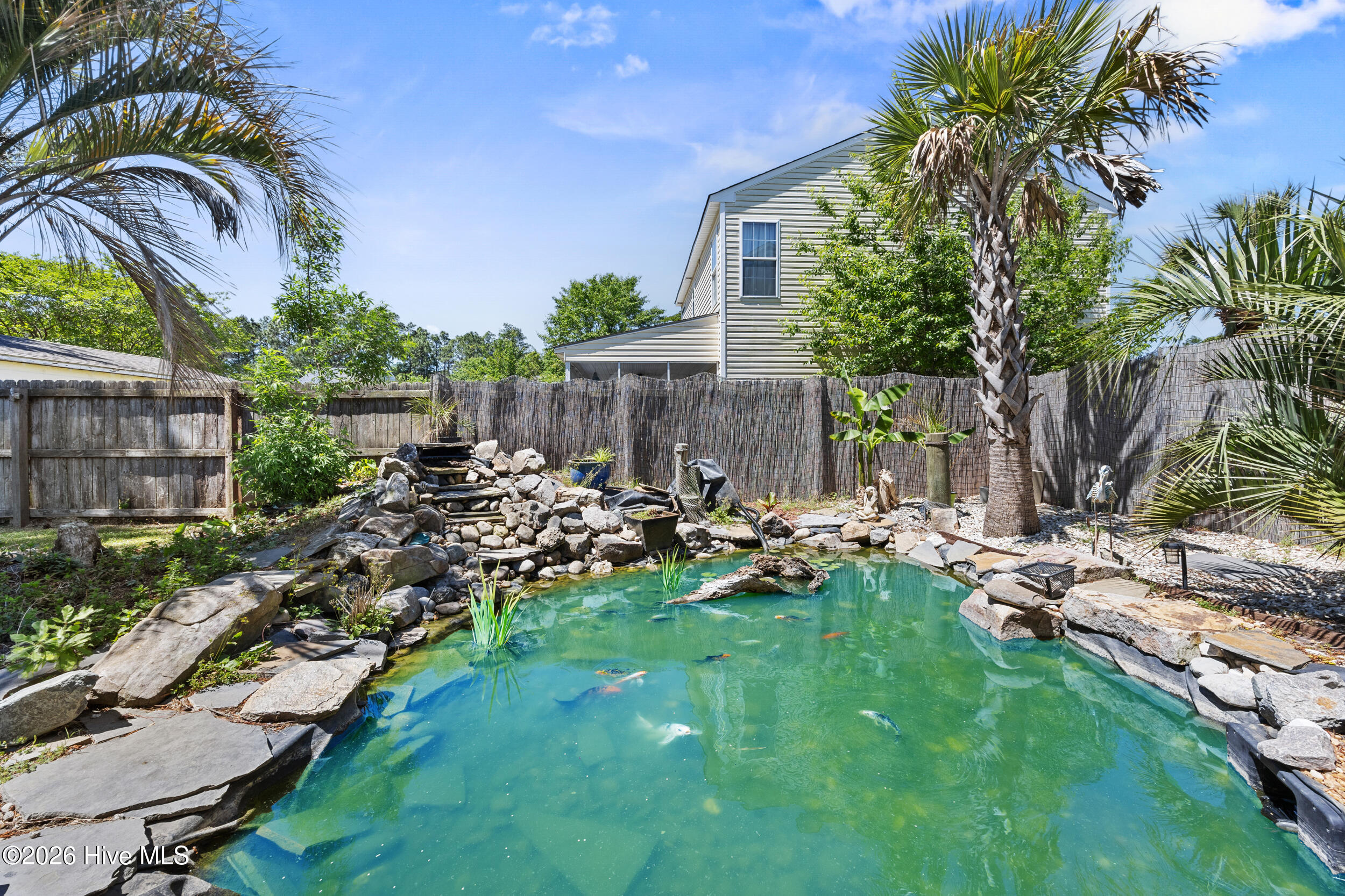 100569282 | Photo 37