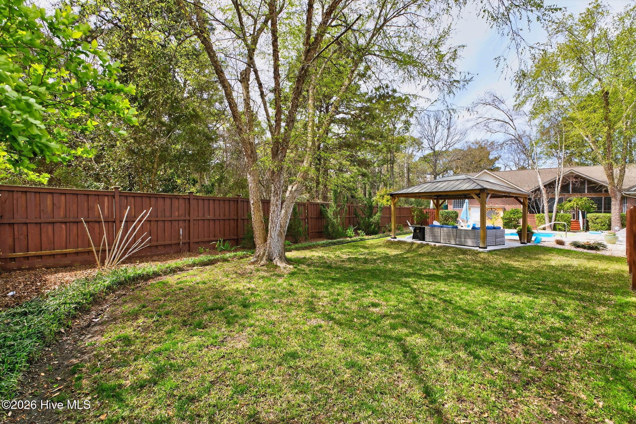 100562589 | Photo 12