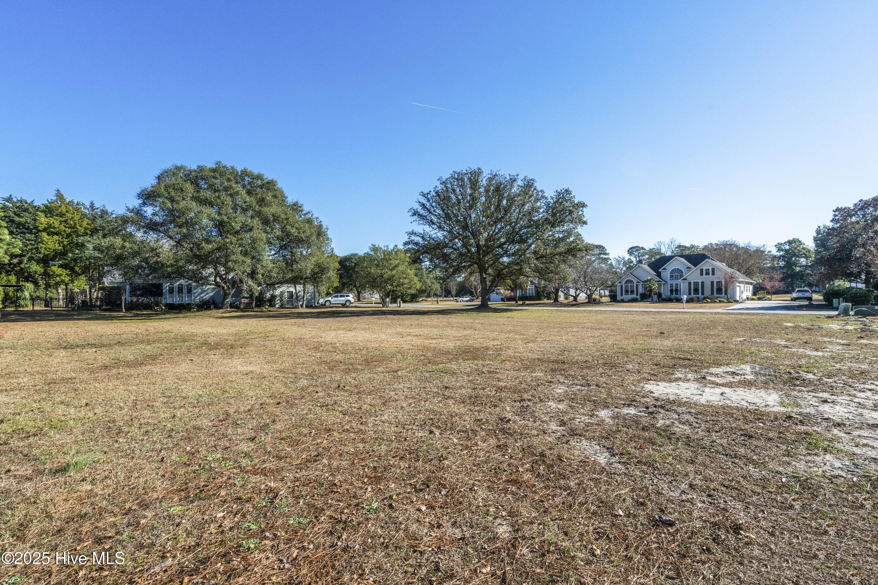 100545339 | Photo 12