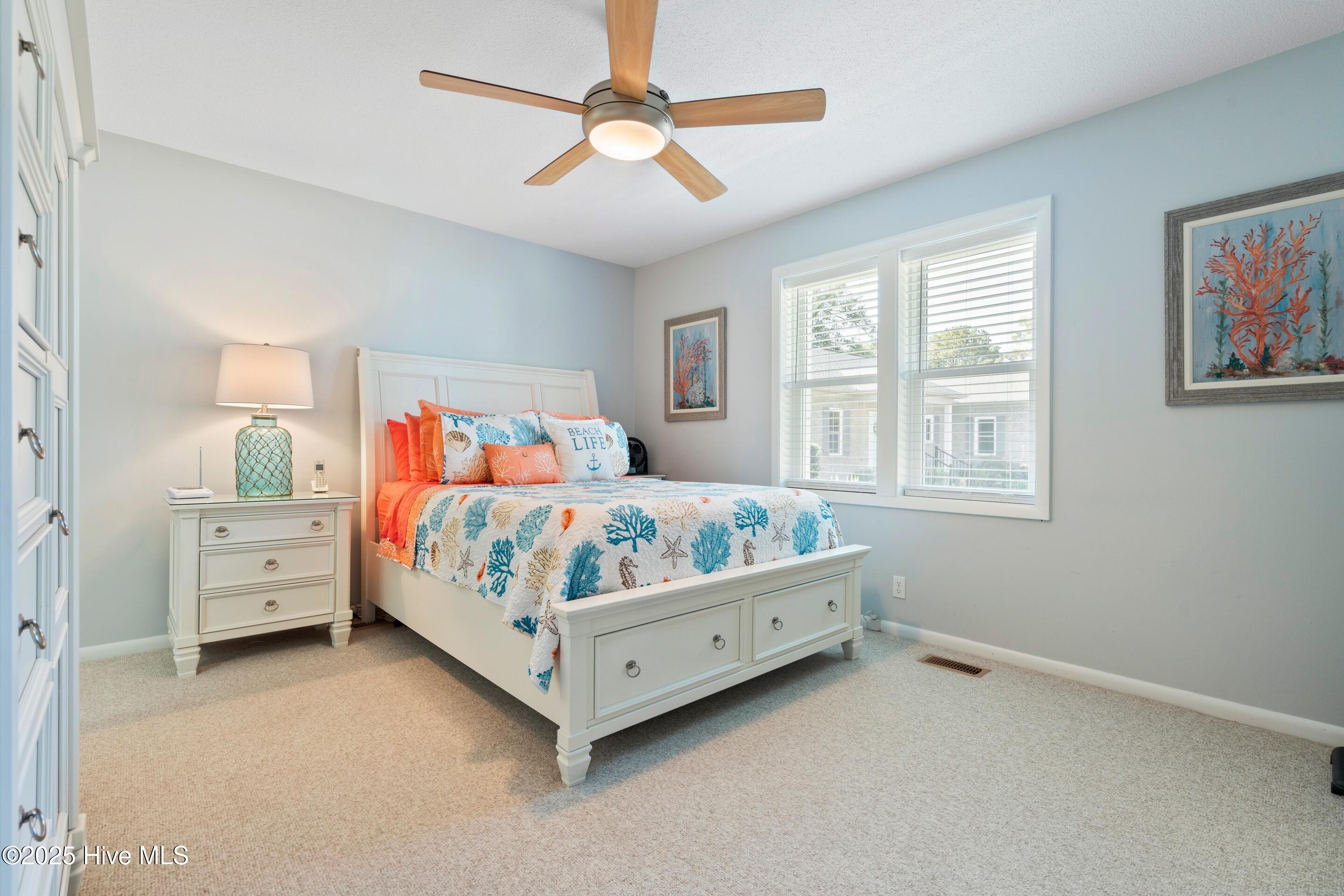 100541347 | Photo 17