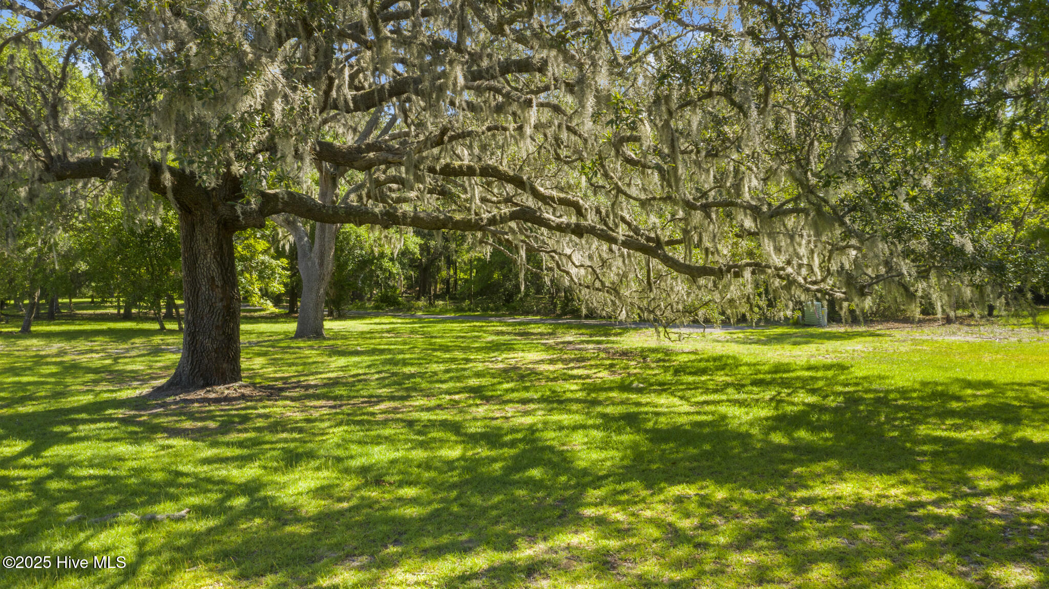 100526036 | Photo 28