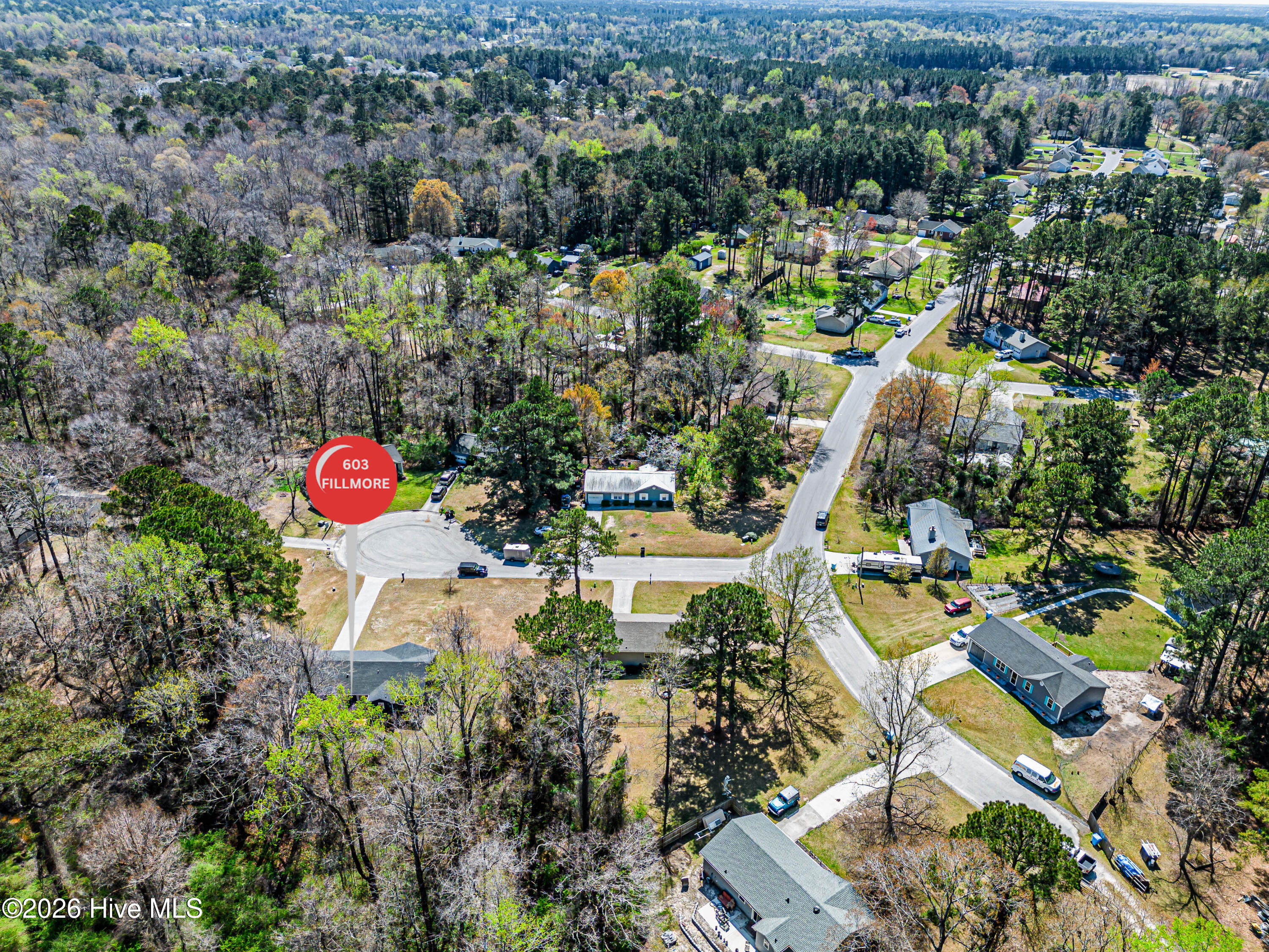 100564633 | Photo 77