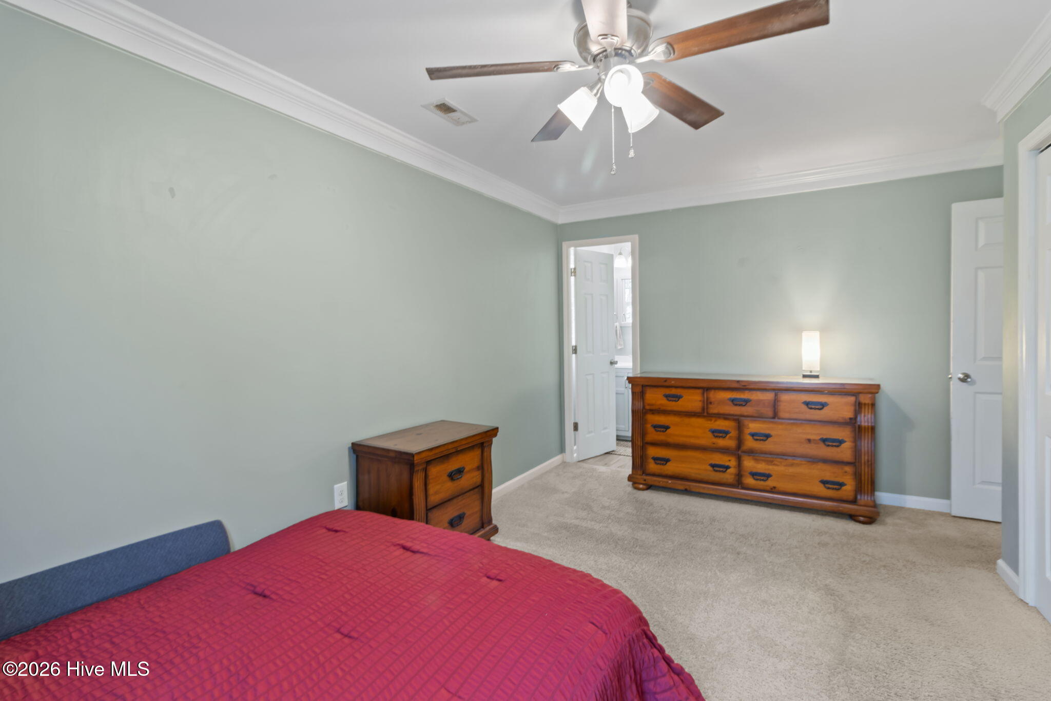 100561456 | Photo 23