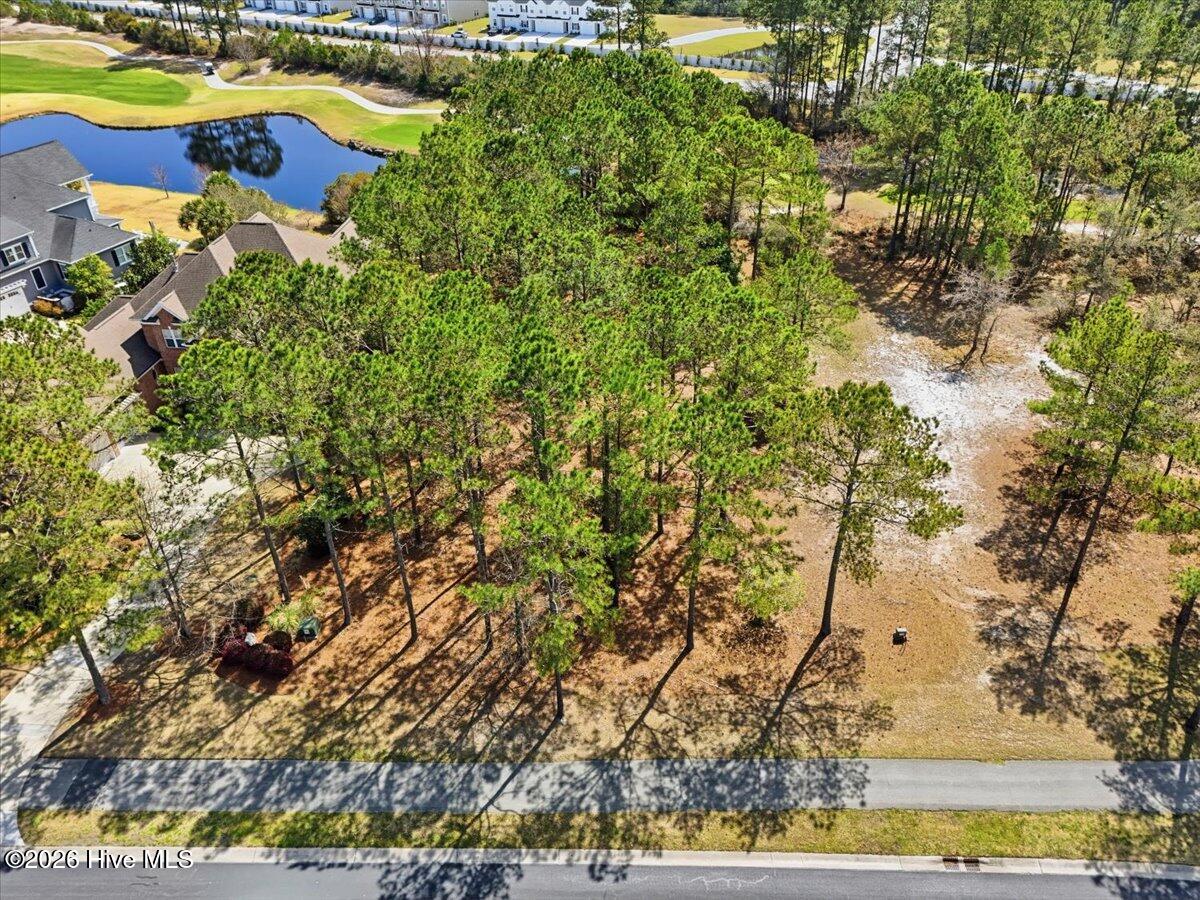 Carolina Barrier Islands