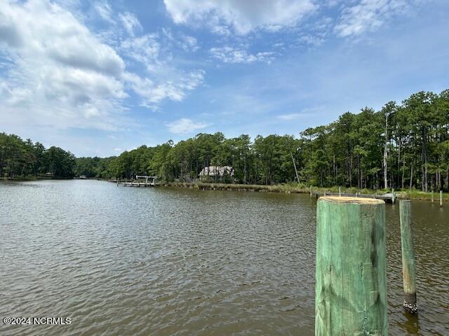 1039 Pasture Point Road,Merritt