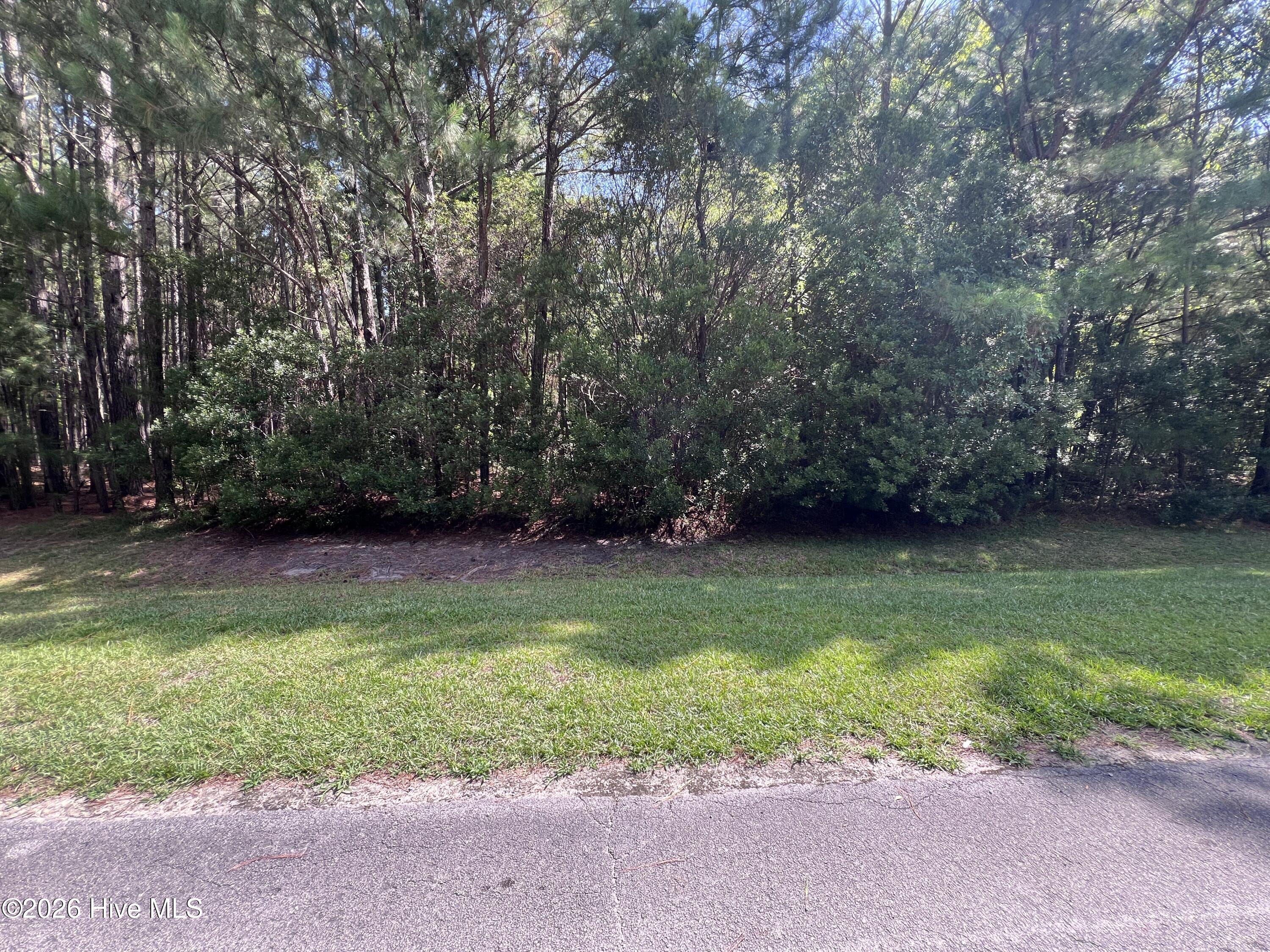 3rd image of 42 Windy Pt, Belhaven, NC 27810 | MLS# 100589662